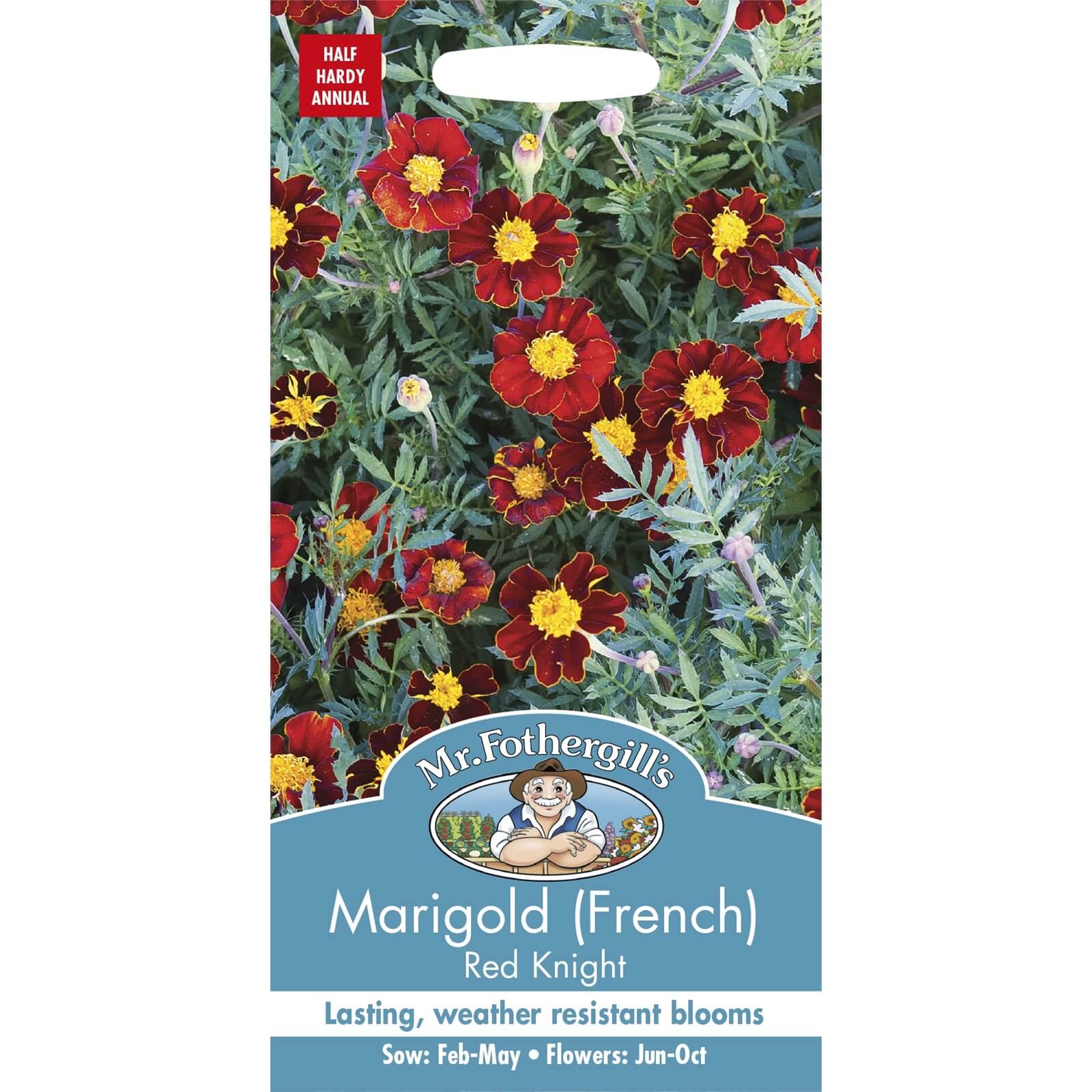 Mr. Fothergill's Marigold French Red Knight