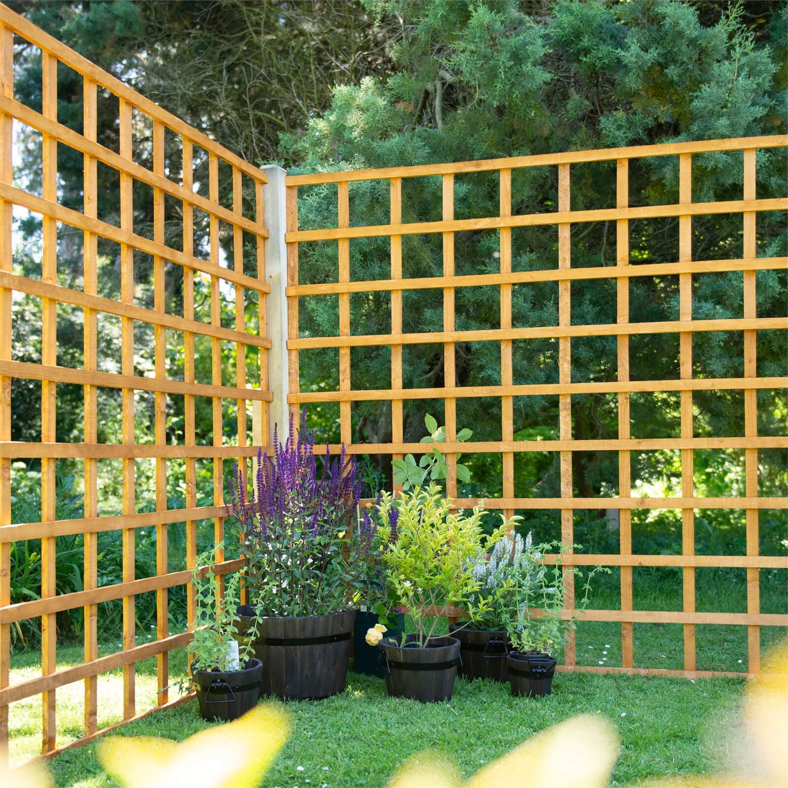 Heavy Duty Trellis 183cm Pack of 4 Homebase