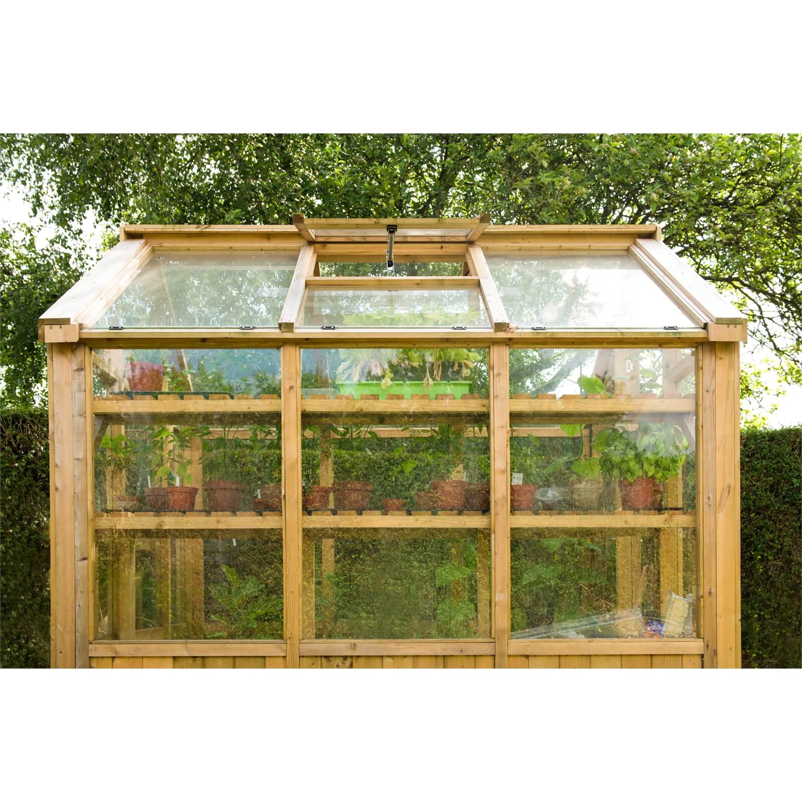 Forest 8 x 6ft Vale Greenhouse - Installation Included