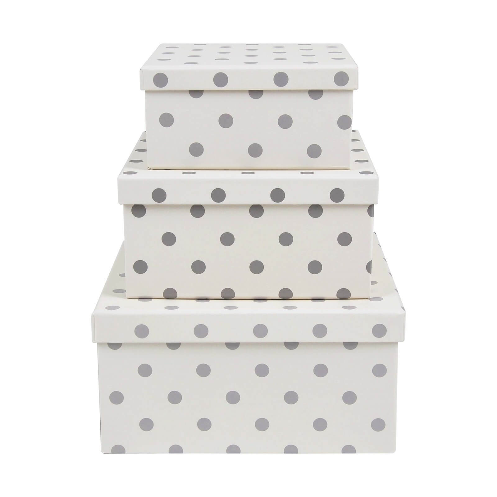Spot Cardboard Storage Boxes - Set of 3
