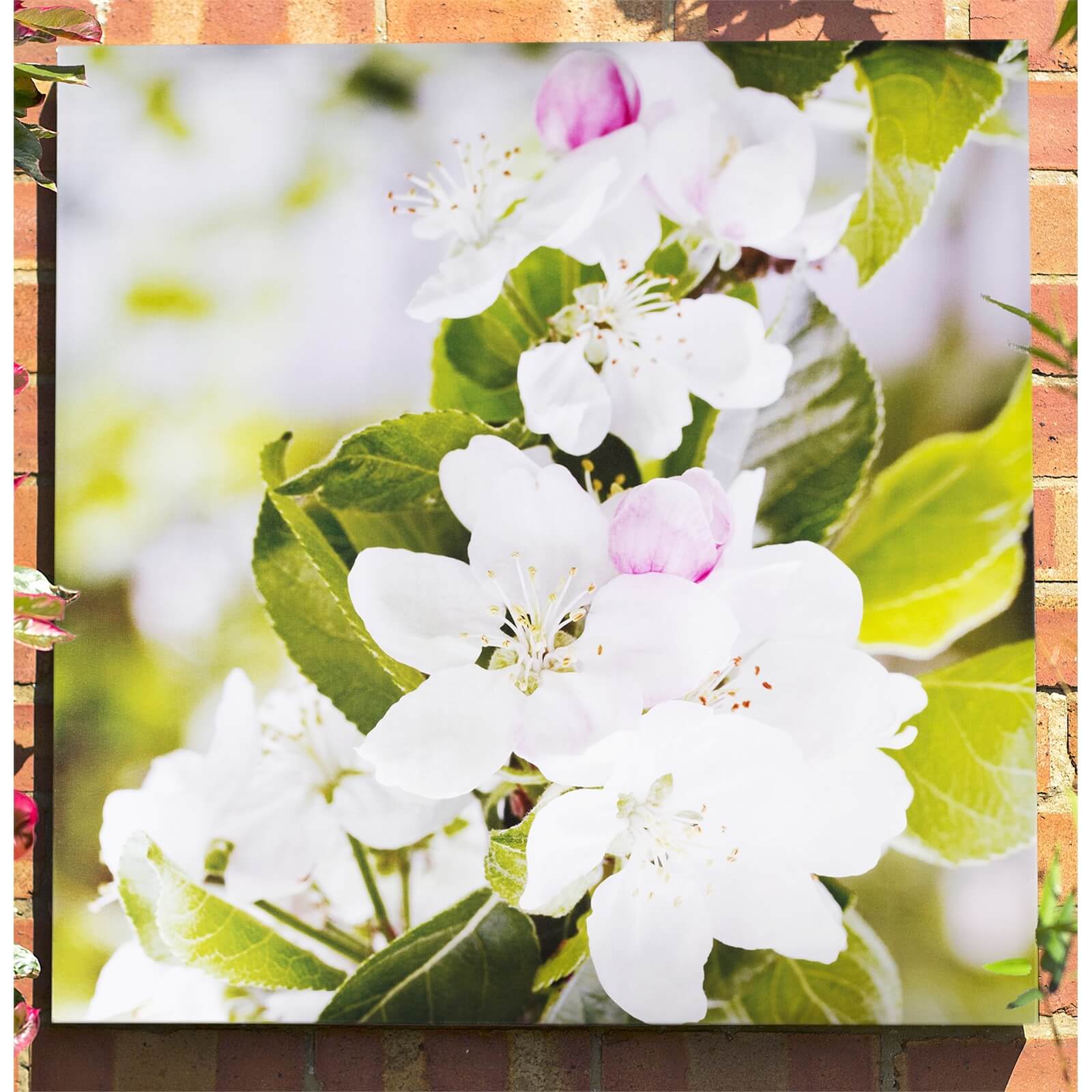 Apple Blossom Outdoor Canvas 79x79cm
