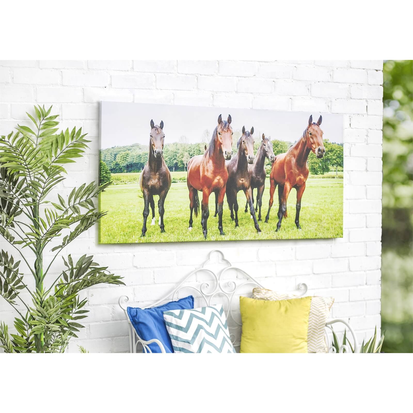 Interested Horses Outdoor Canvas 70x140cm