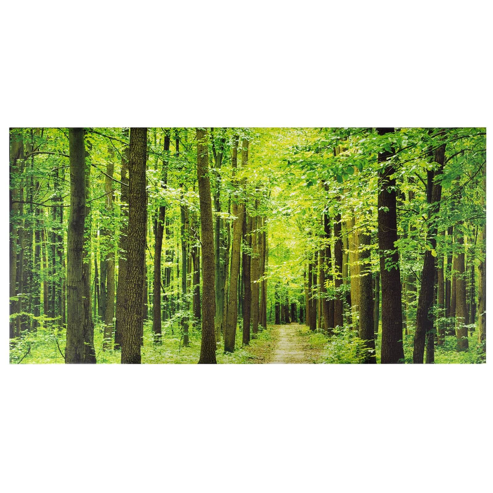 Forest Path Outdoor Canvas 59x119cm