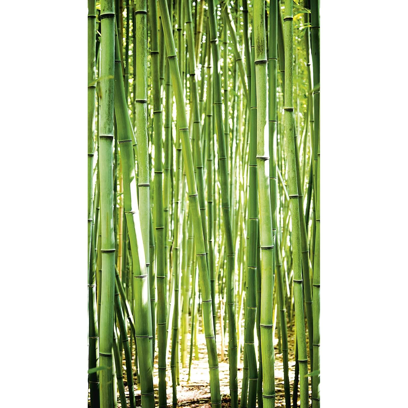 Grandeco Bamboo Green Digital Wallpaper Mural