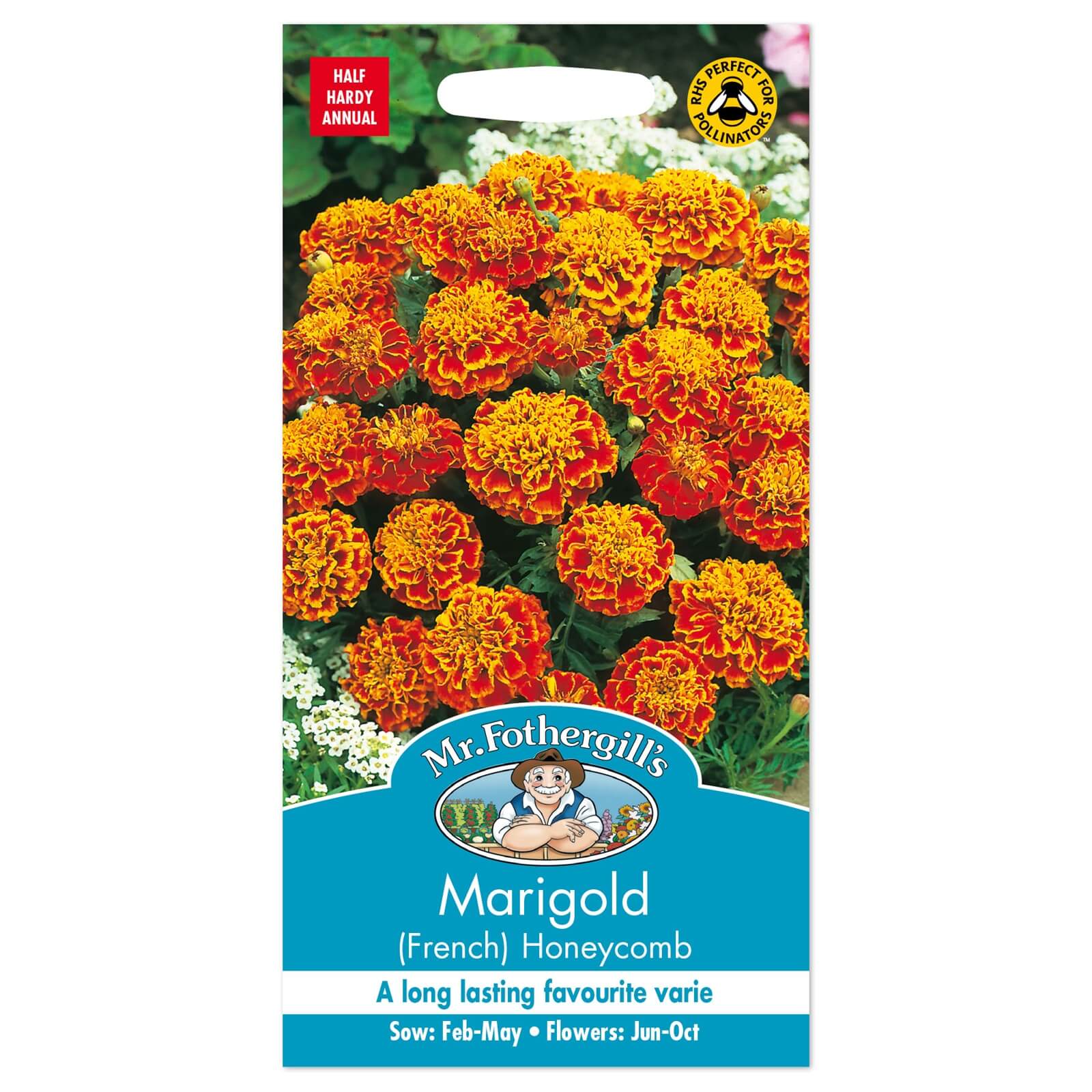 Mr. Fothergill's French Marigold Honeycomb Seeds