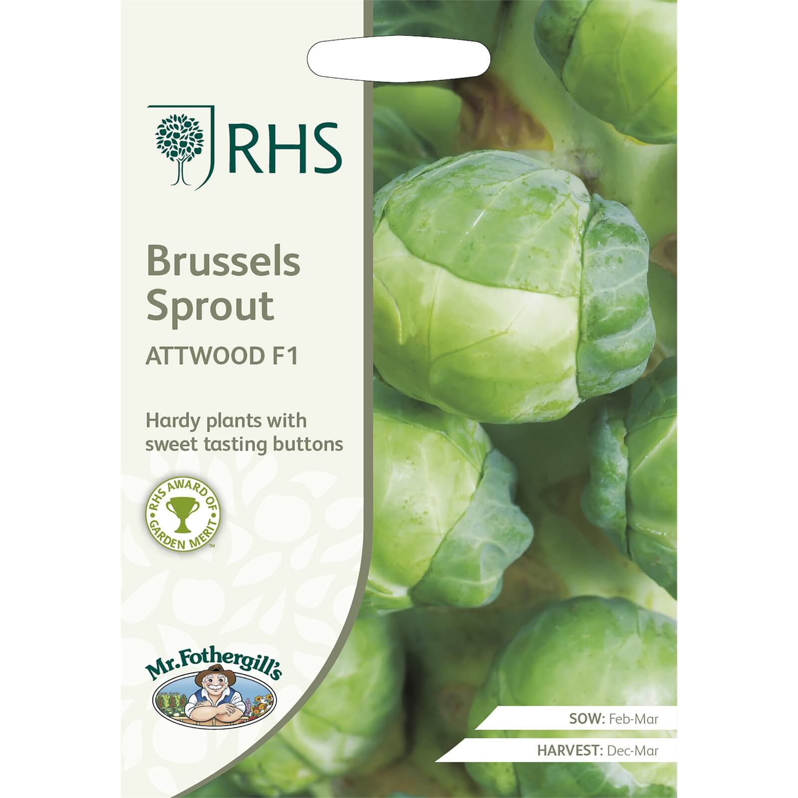 RHS Brussels Sprout Attwood F1