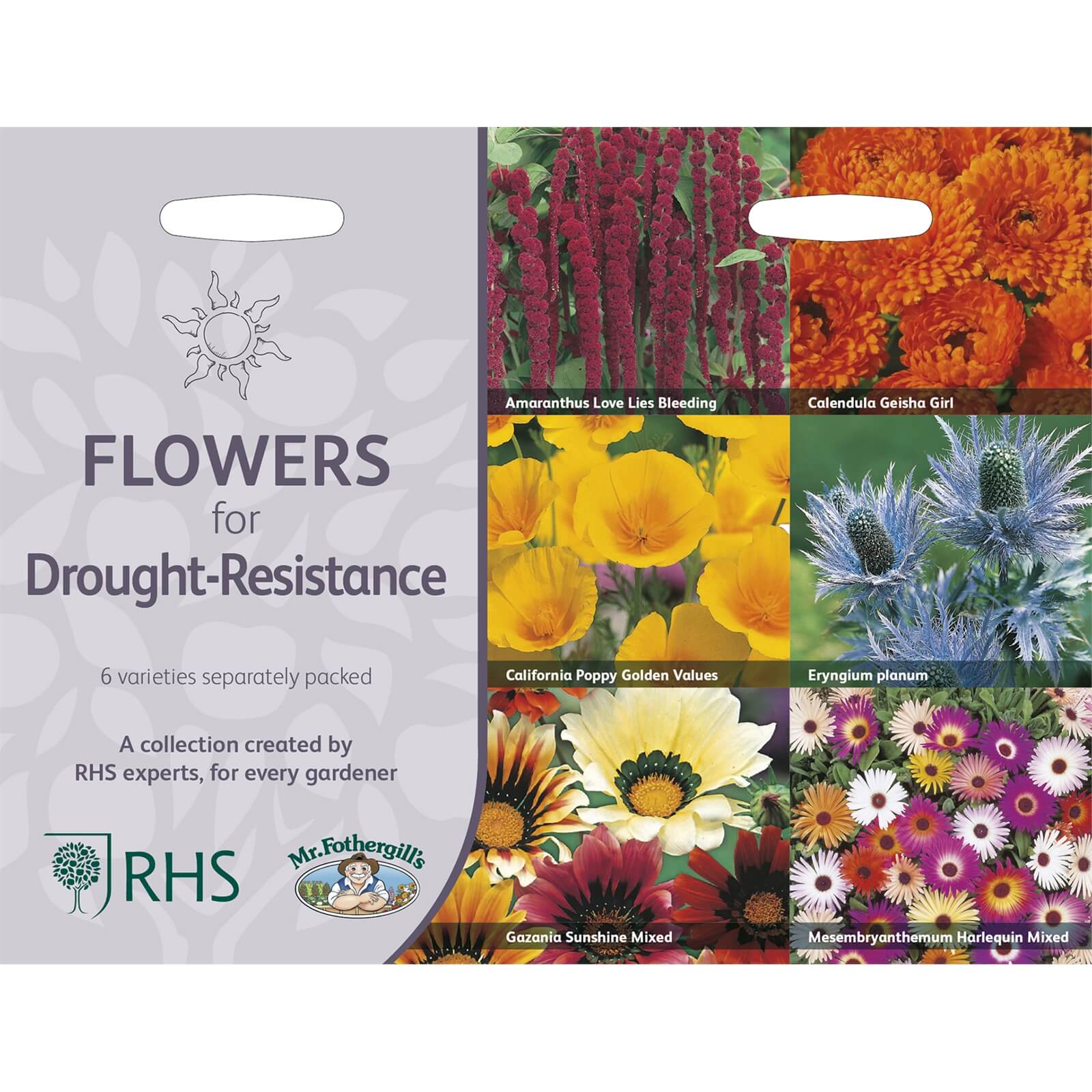 RHS Flowers for Drought Resistance Flowers Collection