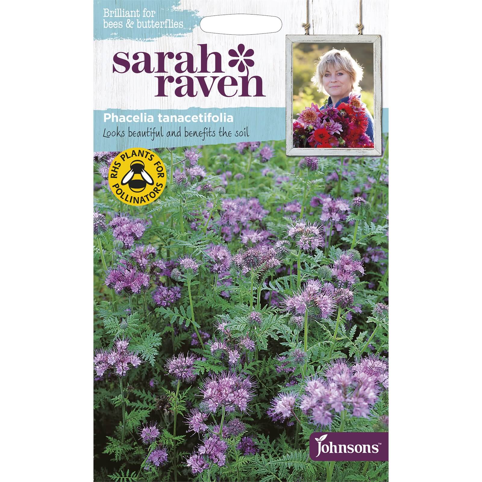 Sarah Ravens Phacelia Tanacetifolla Seeds