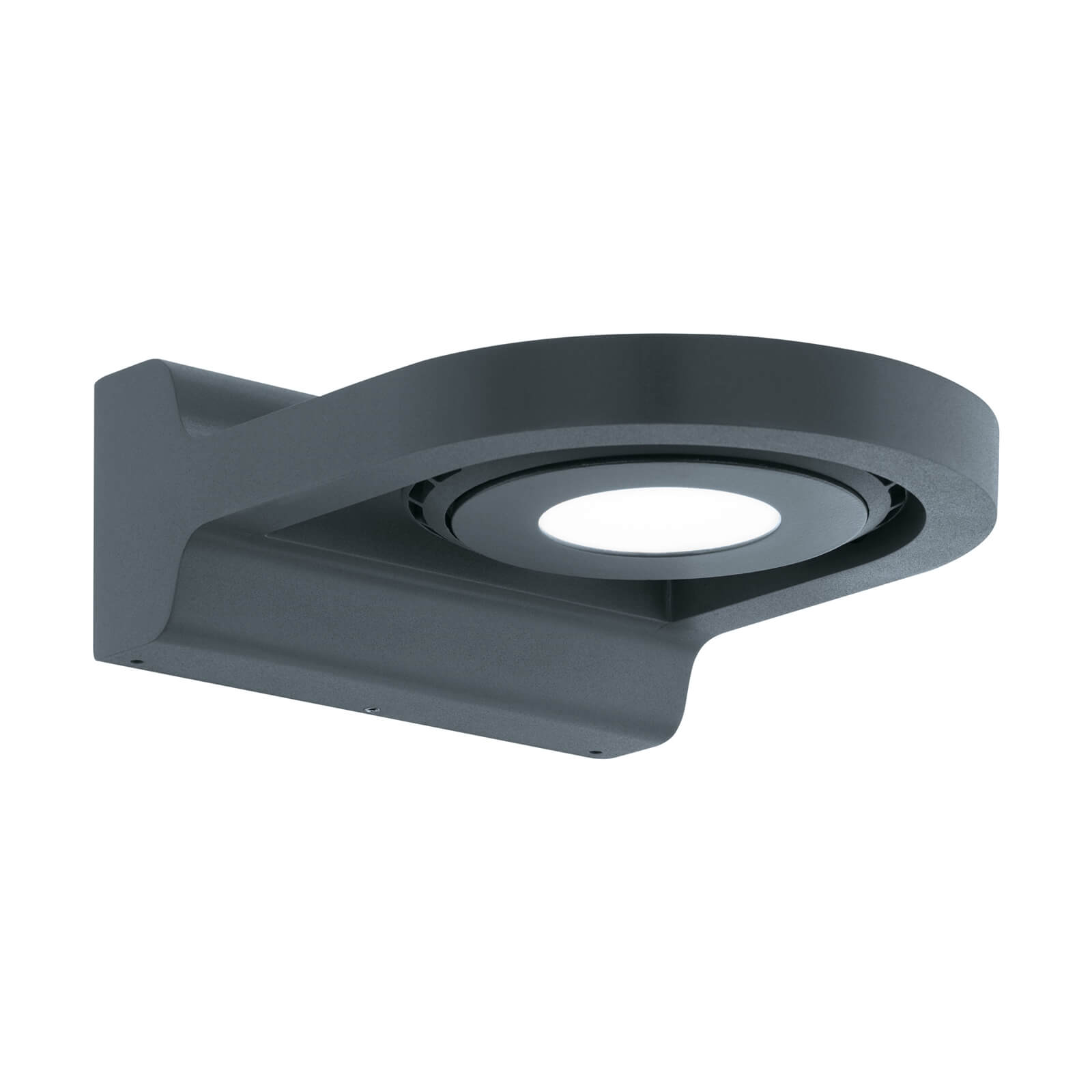 Eglo Roales Outdoor Wall Light - Anthracite