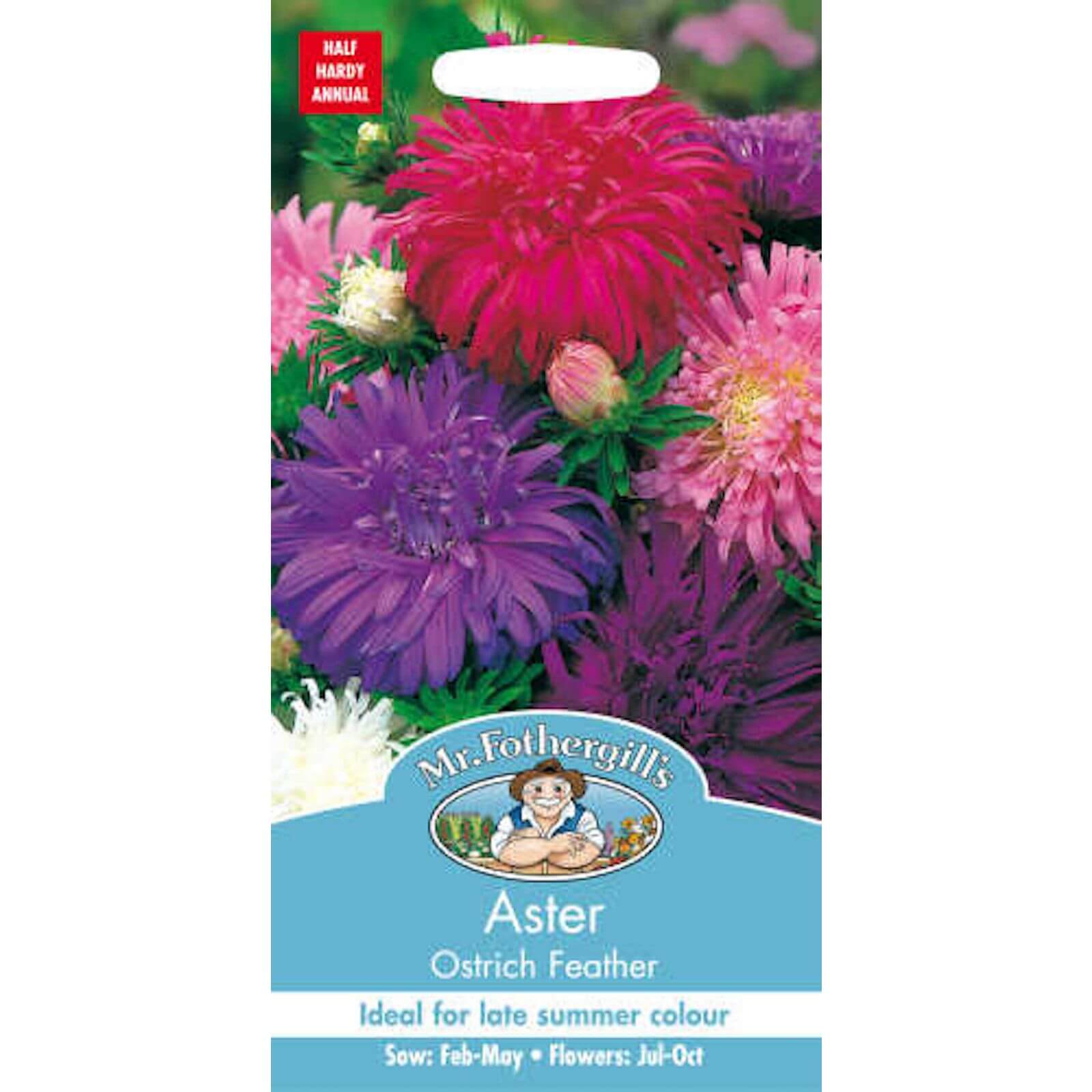 Mr. Fothergill's Aster Ostrich Feather Seeds