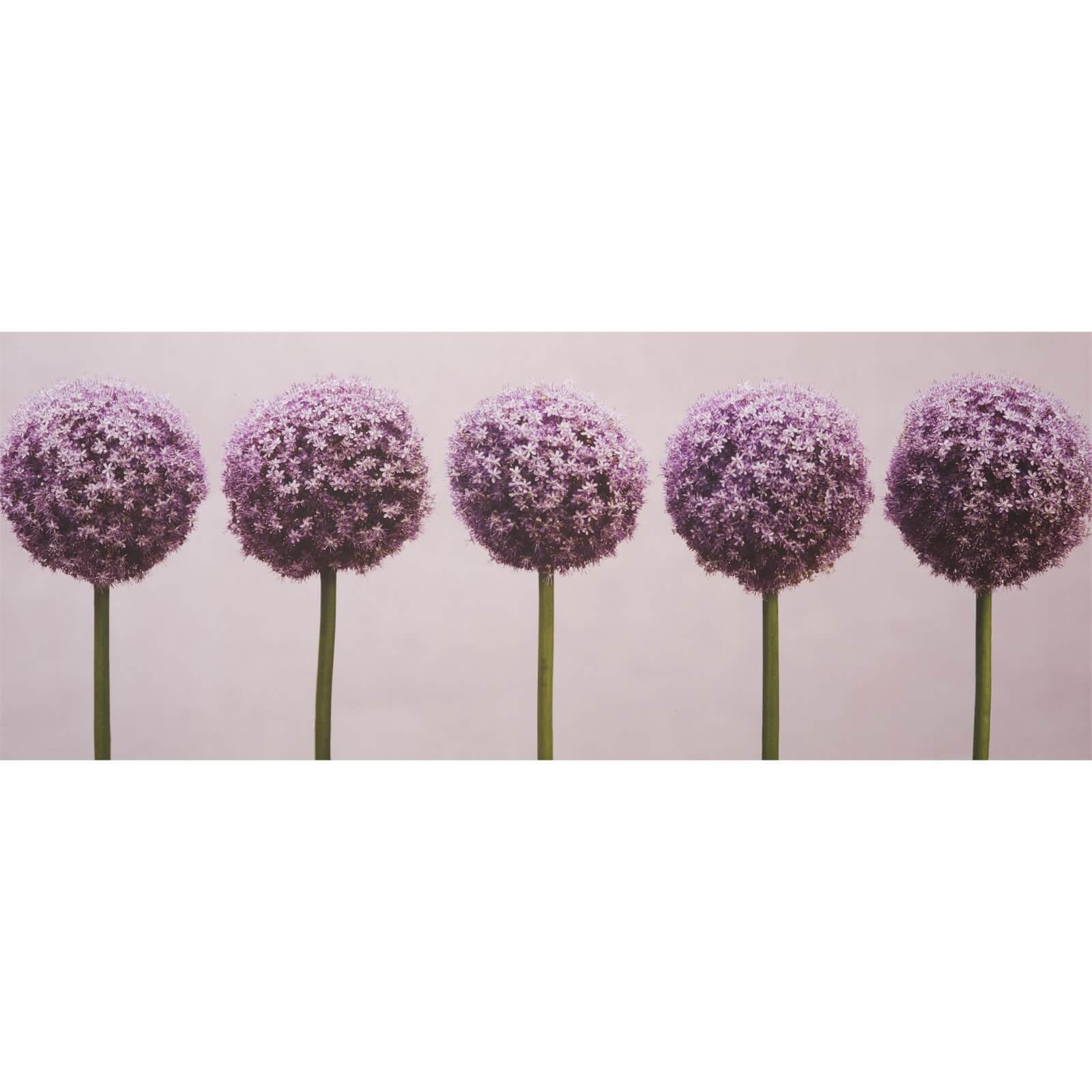 Row Of Alliums Canvas