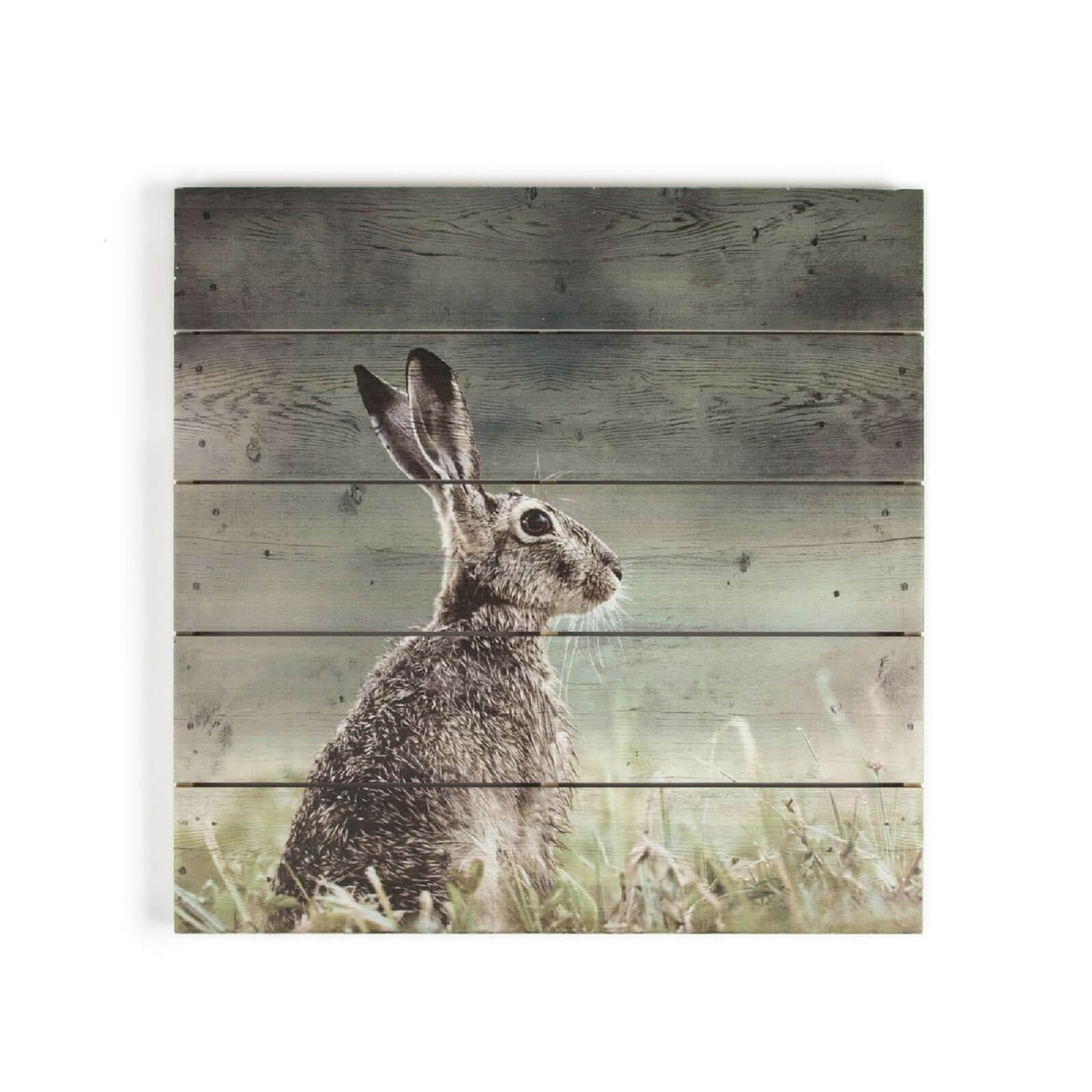 Hare Print On Wood Wall Art