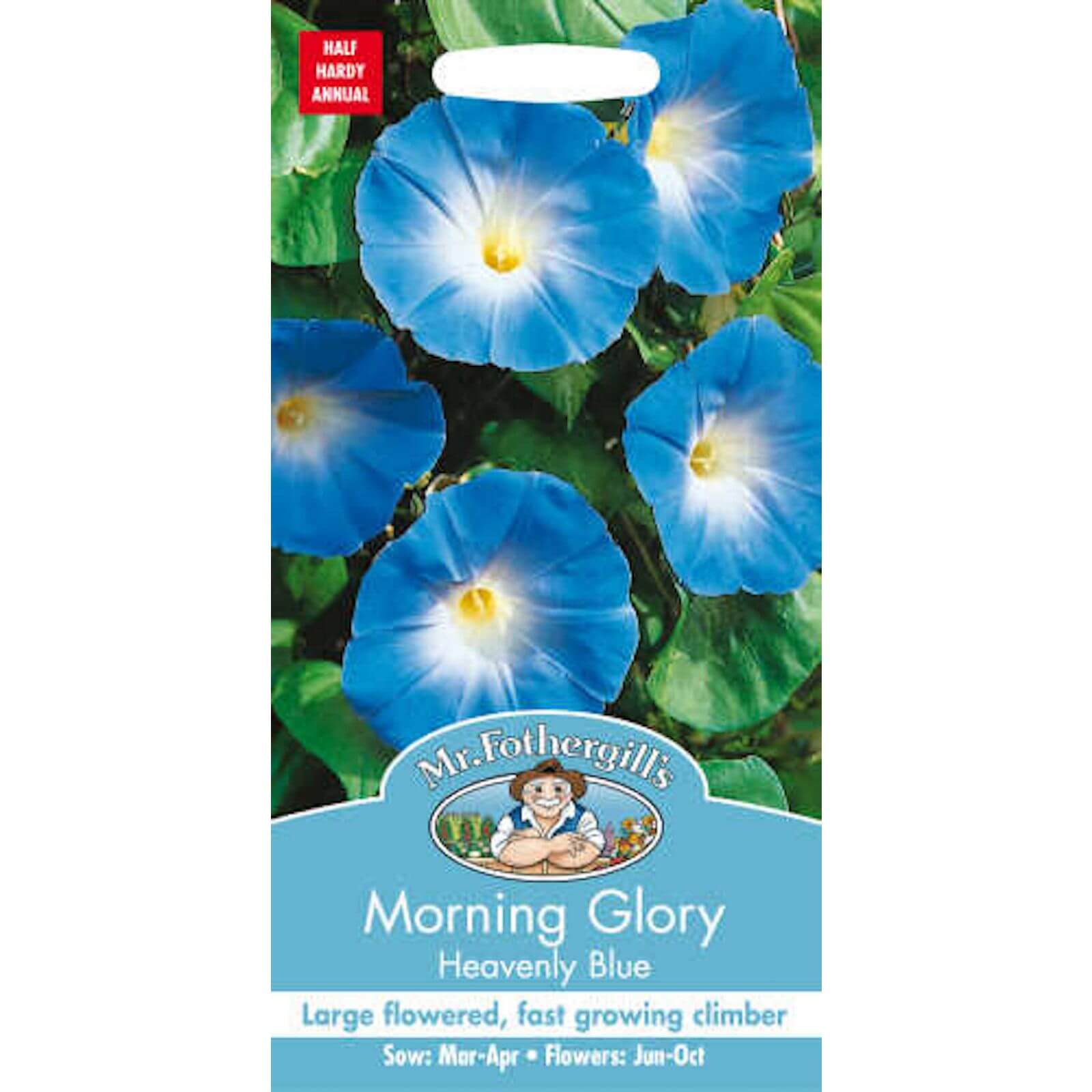 Mr. Fothergill's Morning Glory Heavenly Blue (Ipomoea Purpurea) Seeds