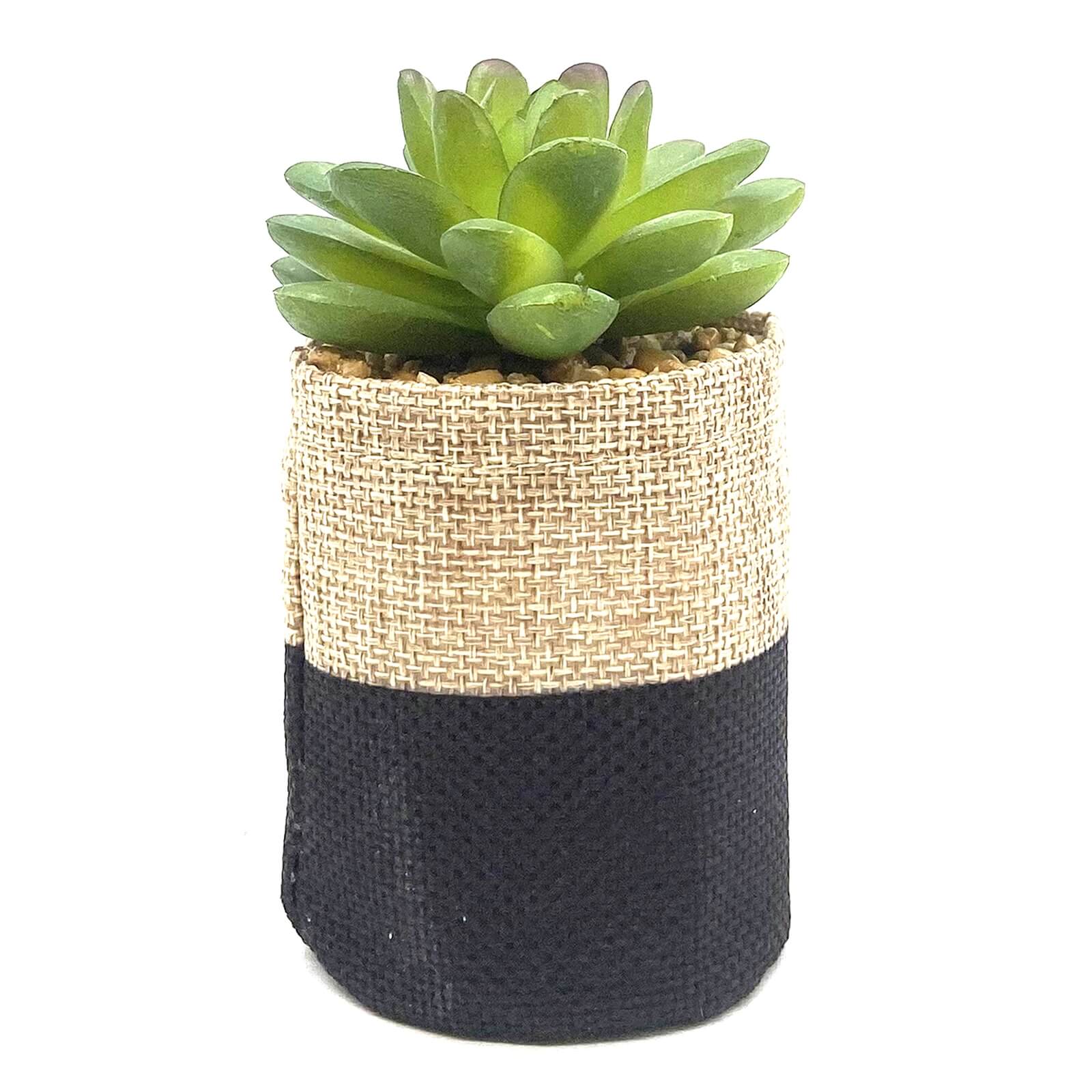 Small Plant in Two Tone Sack - Black & Natural