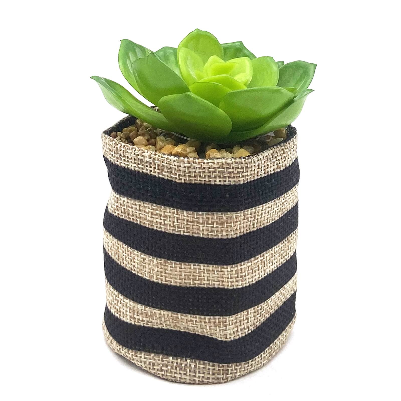 Small Plant in Striped Sack - Black & Natural