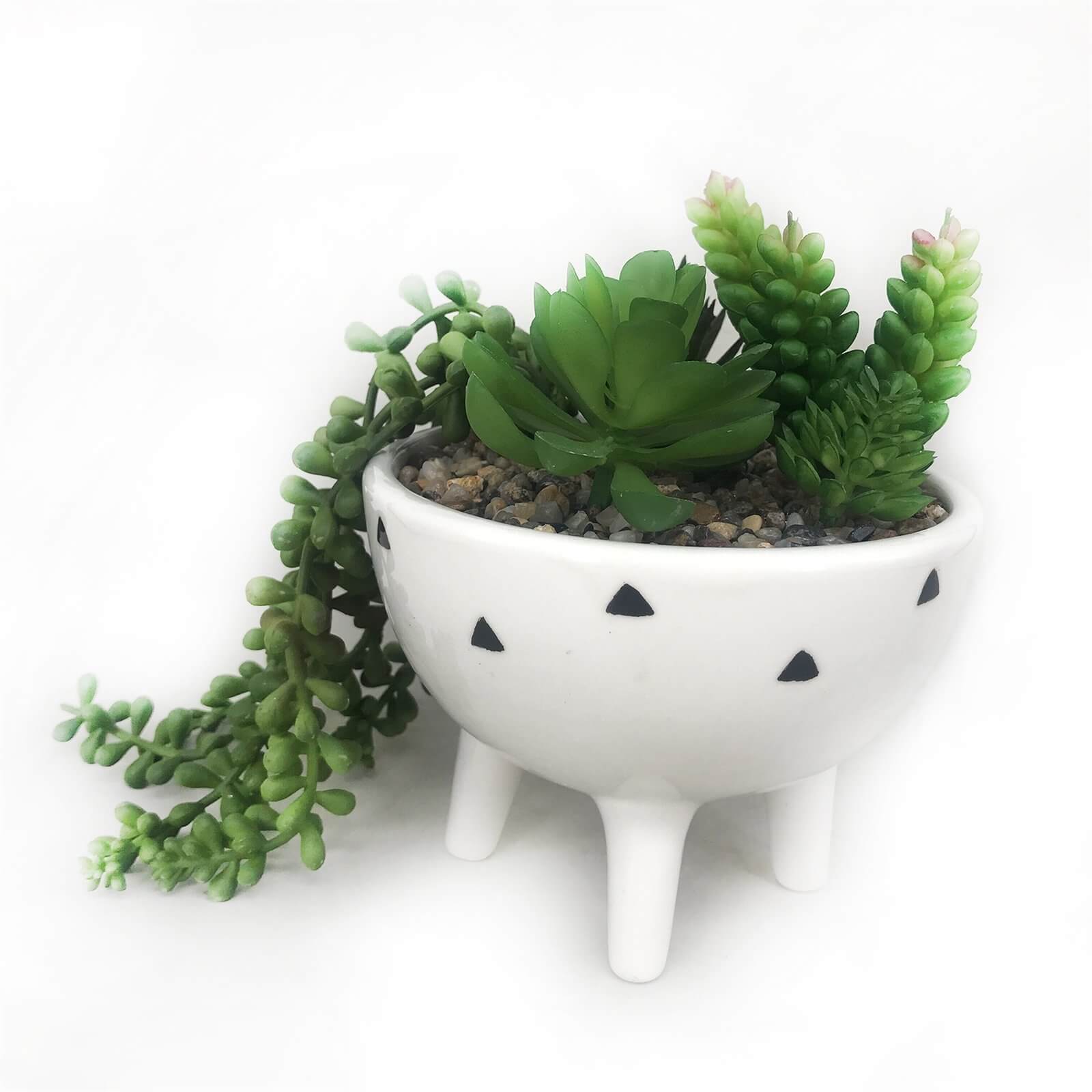 Trailing Plant in White Pot with Legs