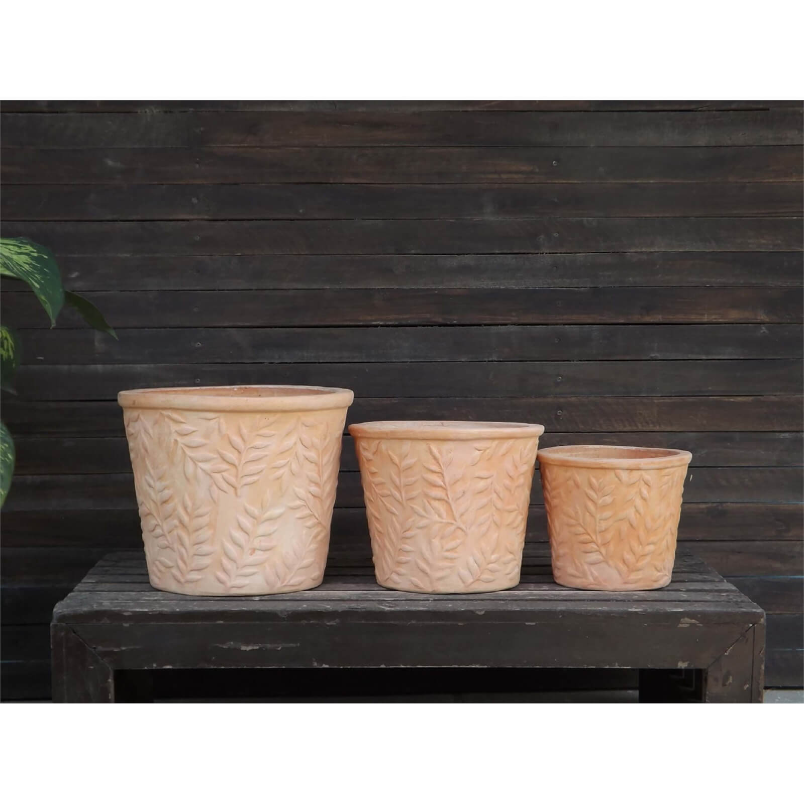Terracotta Leaf Design Pot - 32cm
