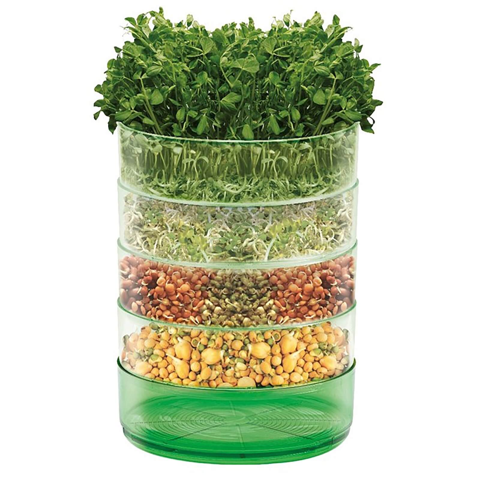 Mr. Fothergill's Microgreens Kitchen Seed Sprouter