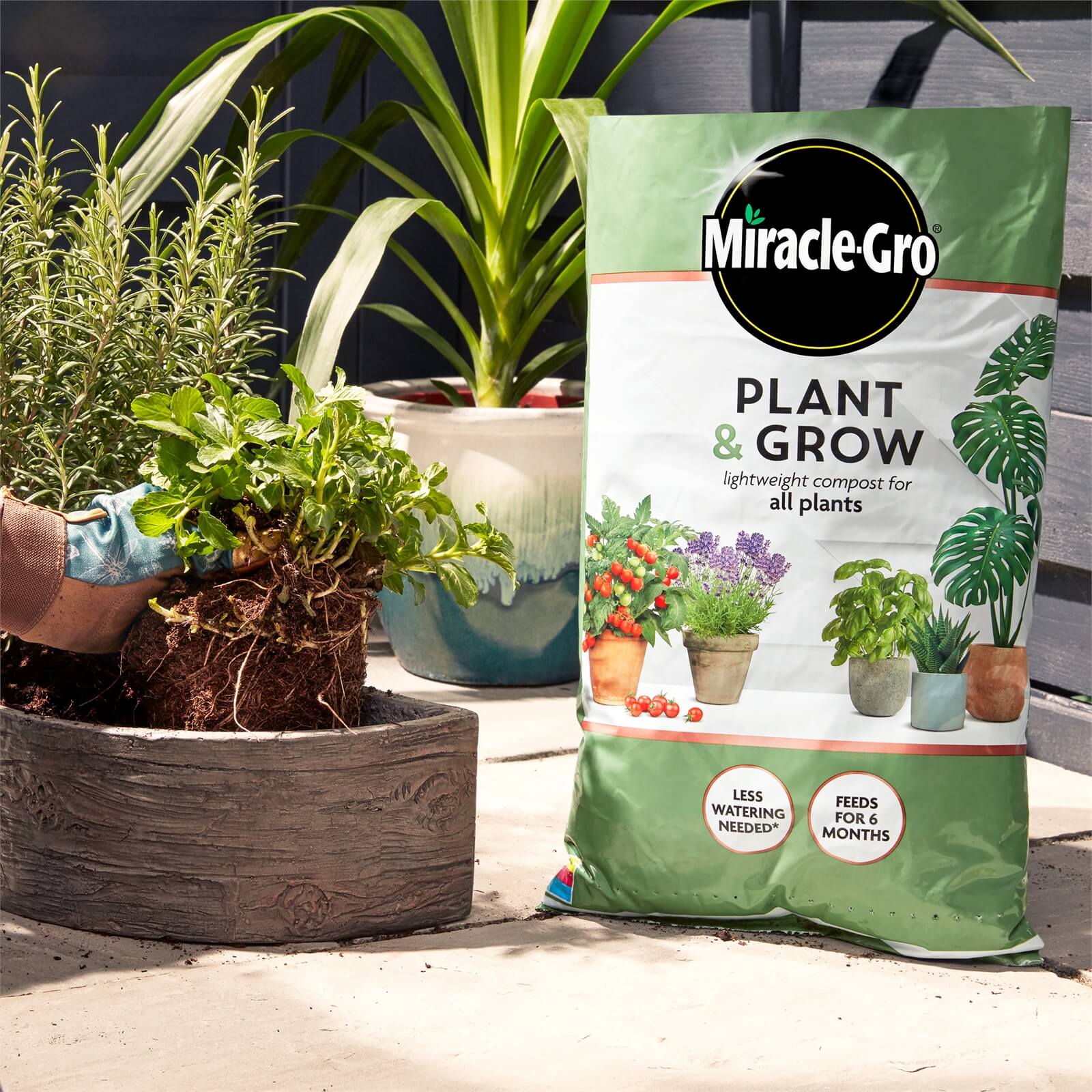 Miracle-Gro Plant & Grow Lightweight Compost for All Plants - 6L