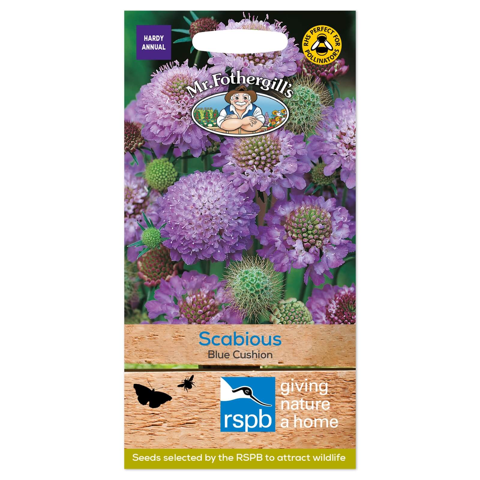 Mr. Fothergill's Scabious Blue Cushion Seeds