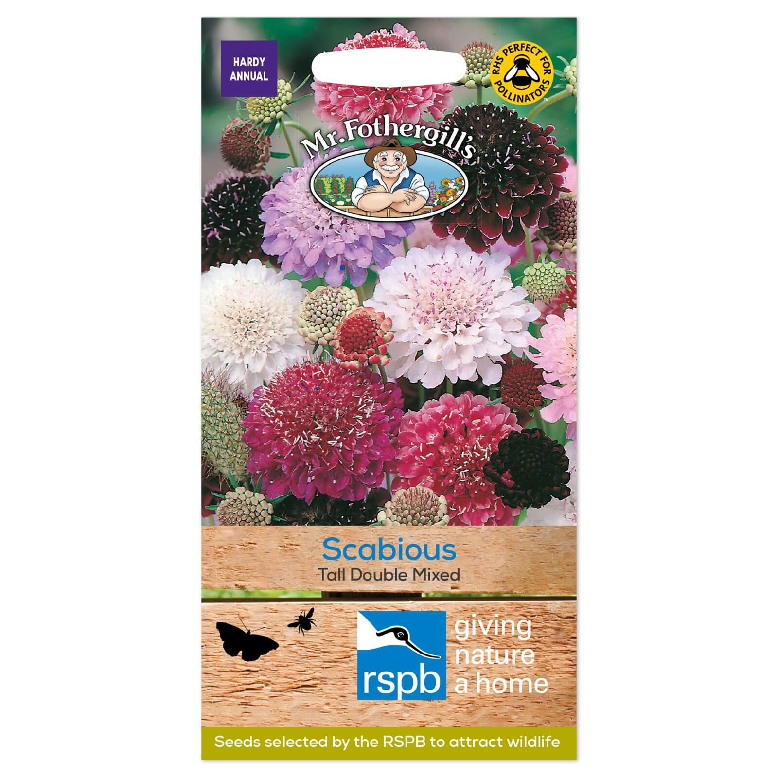 Mr. Fothergill's Scabious Tall Double Mixed Seeds