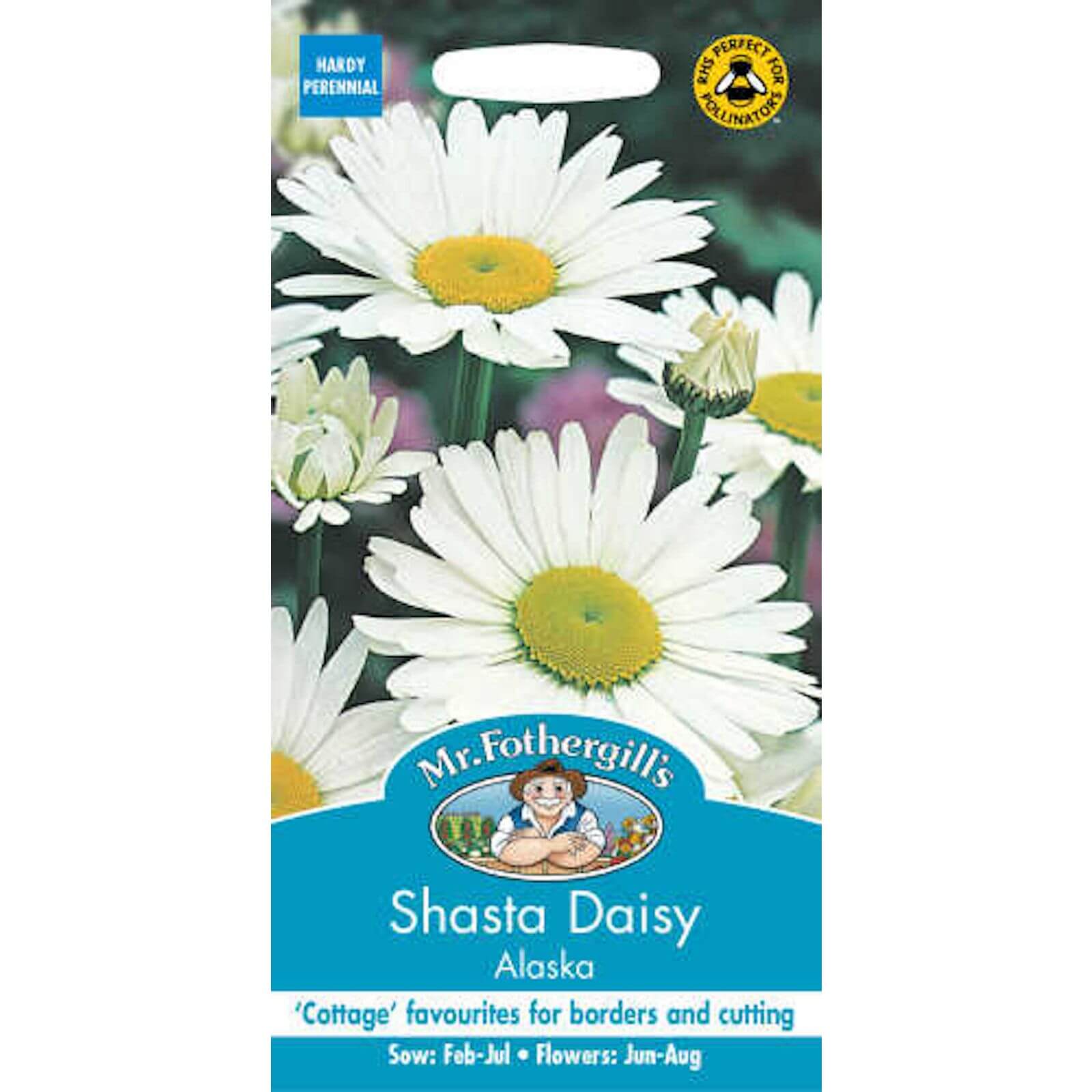 Mr. Fothergill's Shasta Daisy Alaska (Leucanthemum X Superbum) Seeds