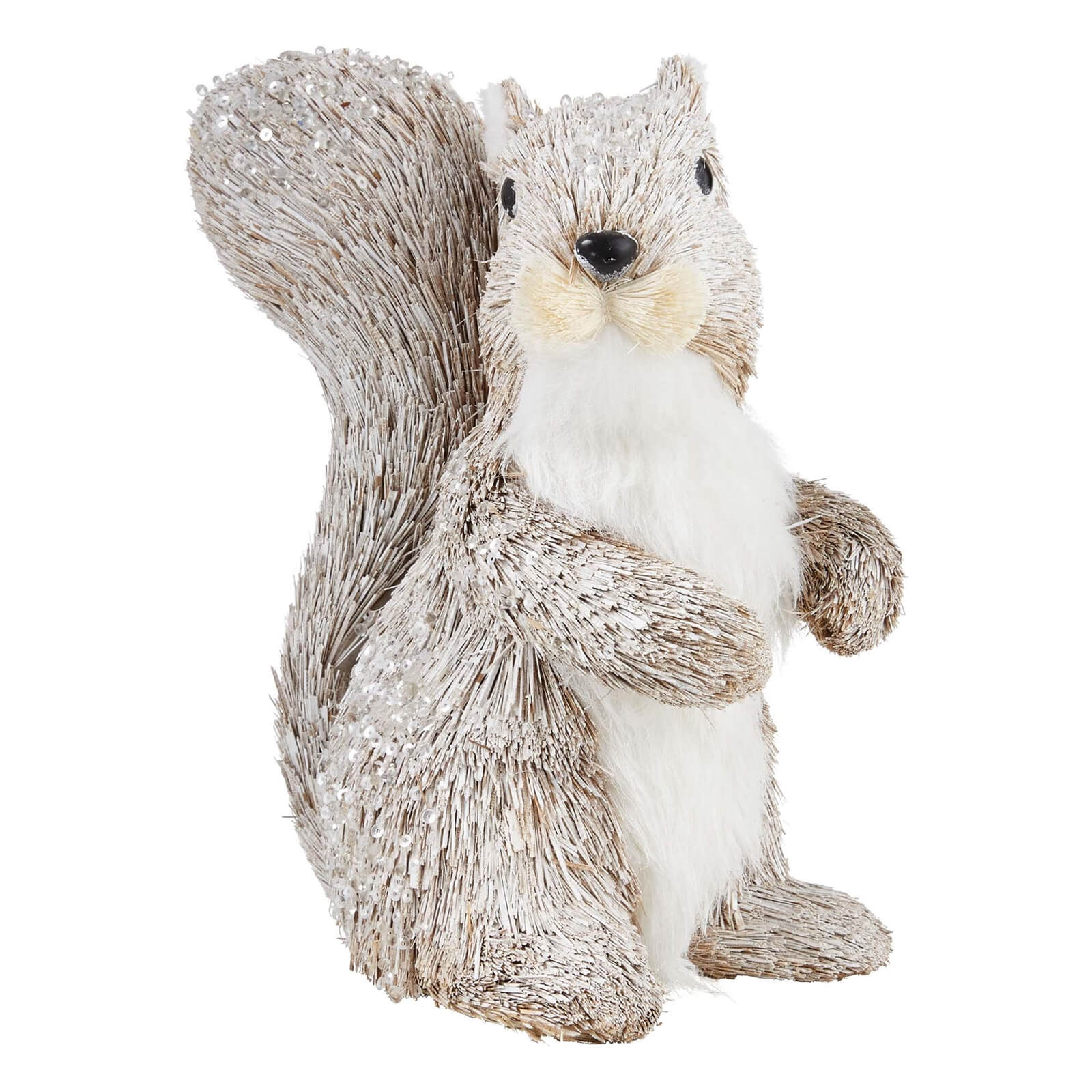Bristle Standing Squirrel