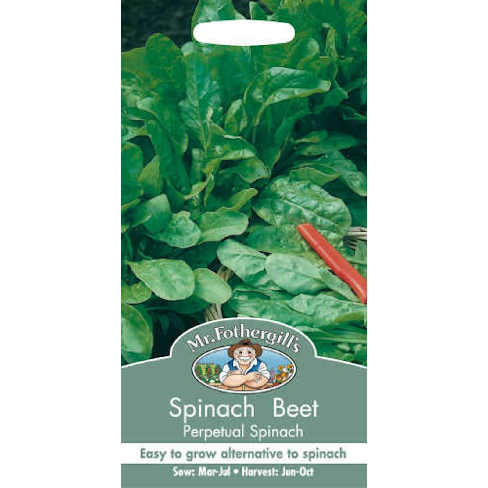 Mr. Fothergill's Spinach Beet Perpetual Spinach (Beta Vulgaris) Seeds