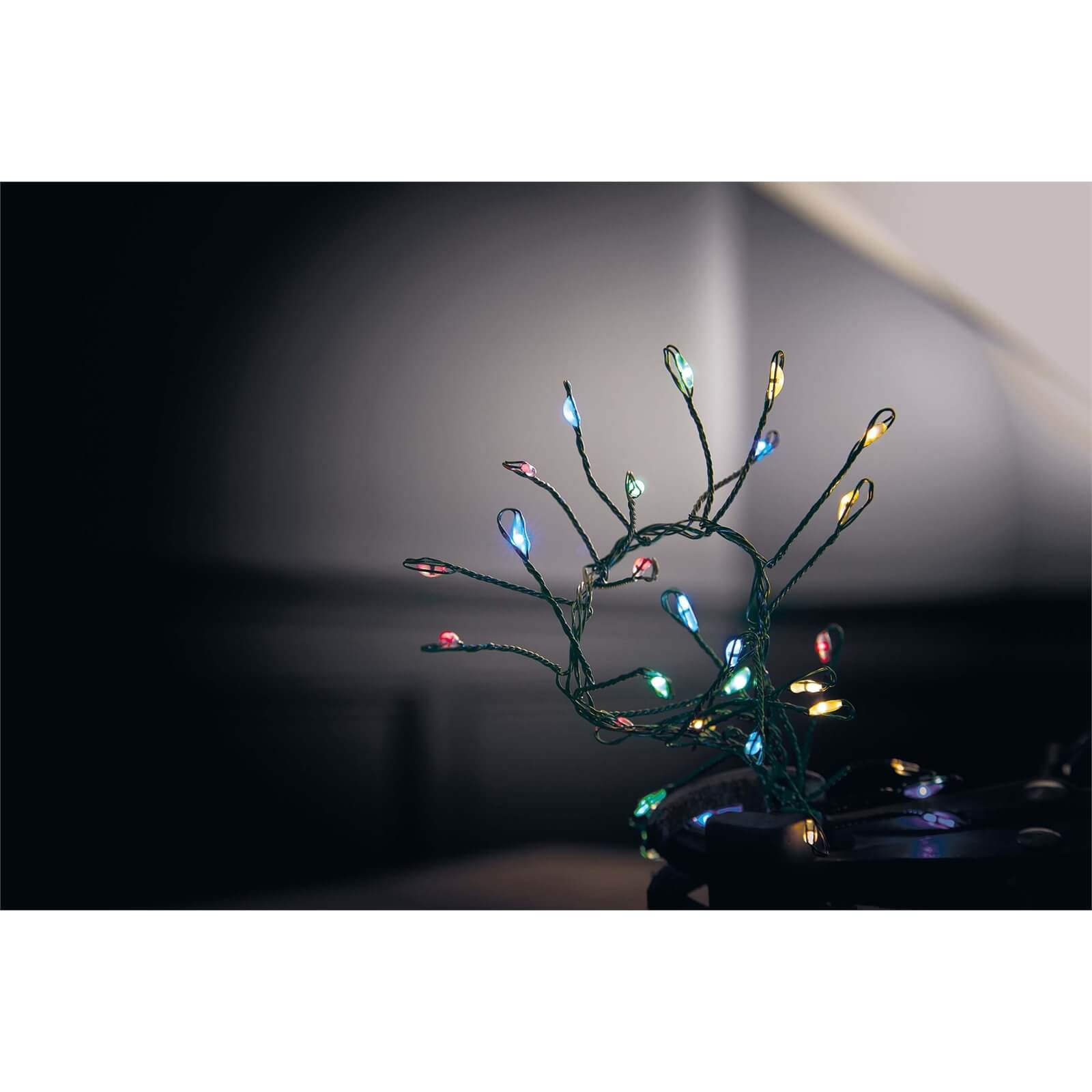 240 Large LED Green Copper Wire Garland Christmas Lights - Multicoloured