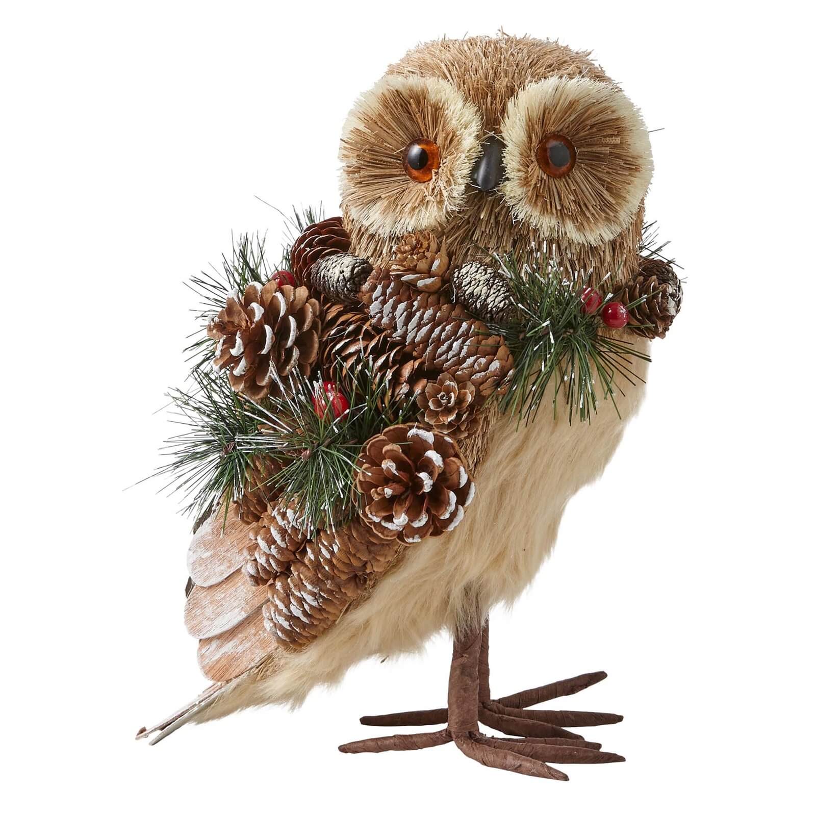 Bristle Owl With Pinecones