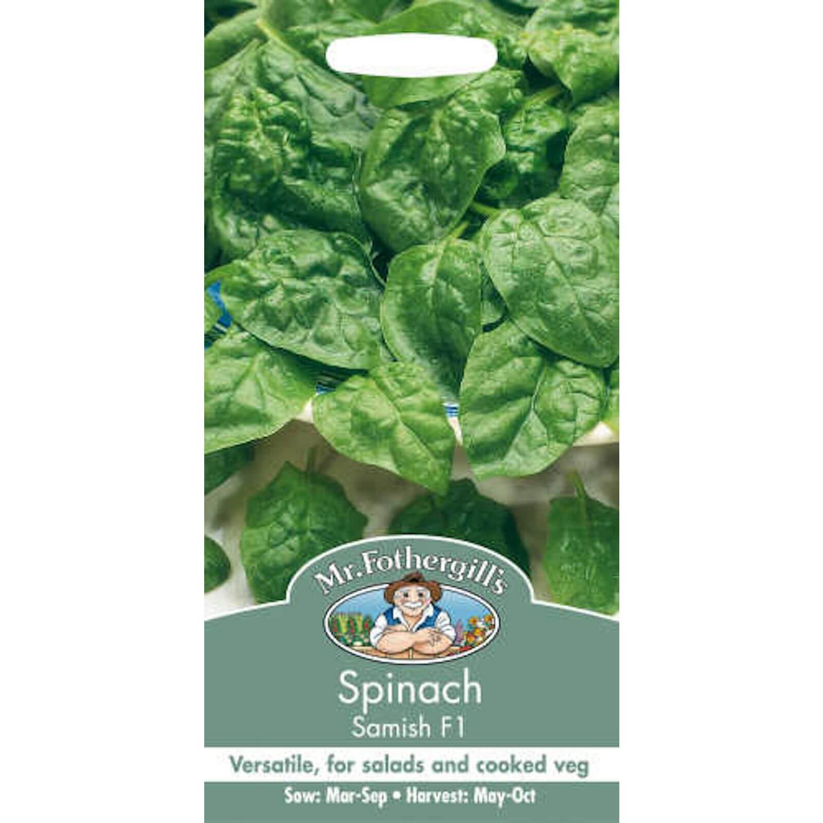 Mr. Fothergill's Spinach Samish F1 (Spinacia Oleracea) Seeds