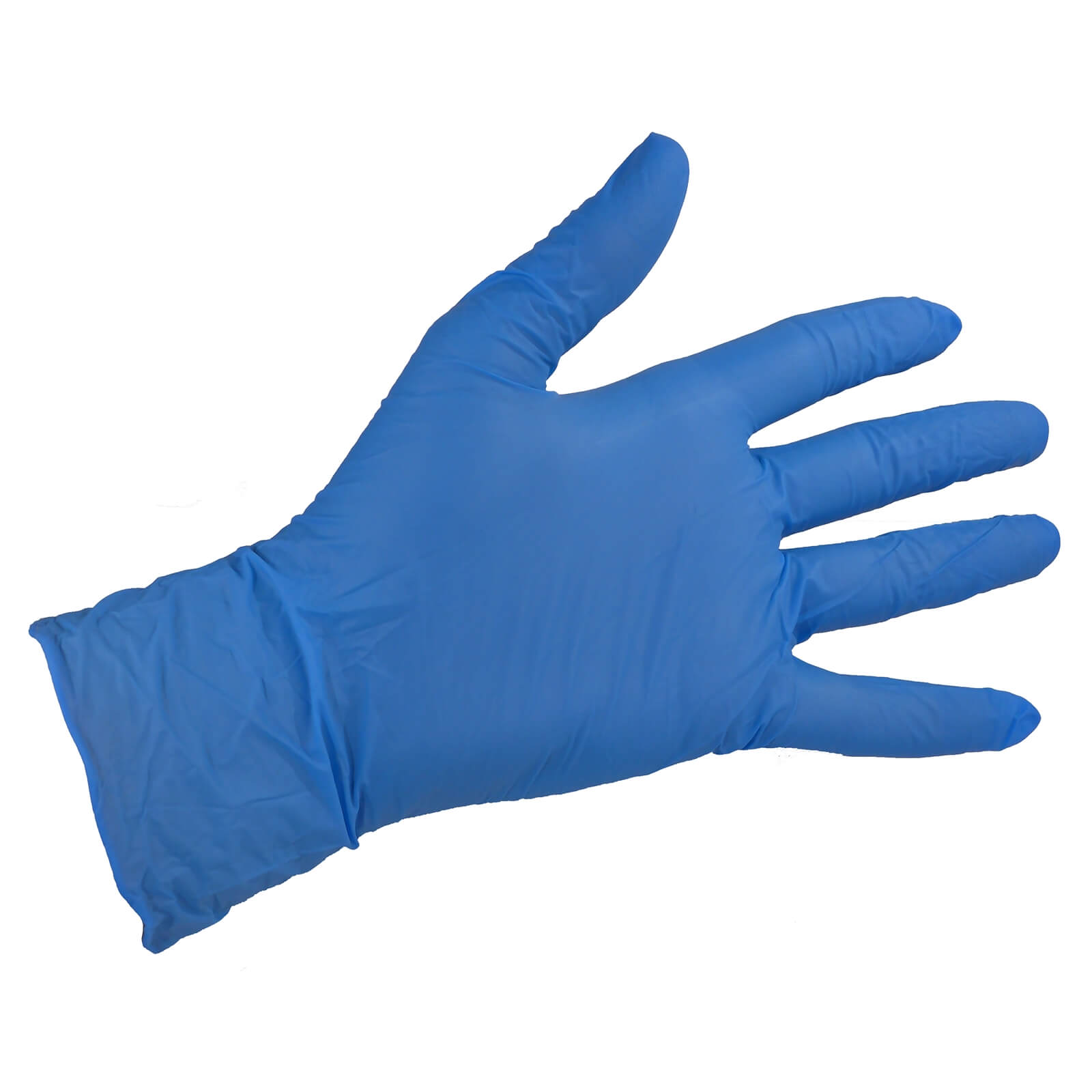 Blue Vinyl Gloves - Small - 10 Pack