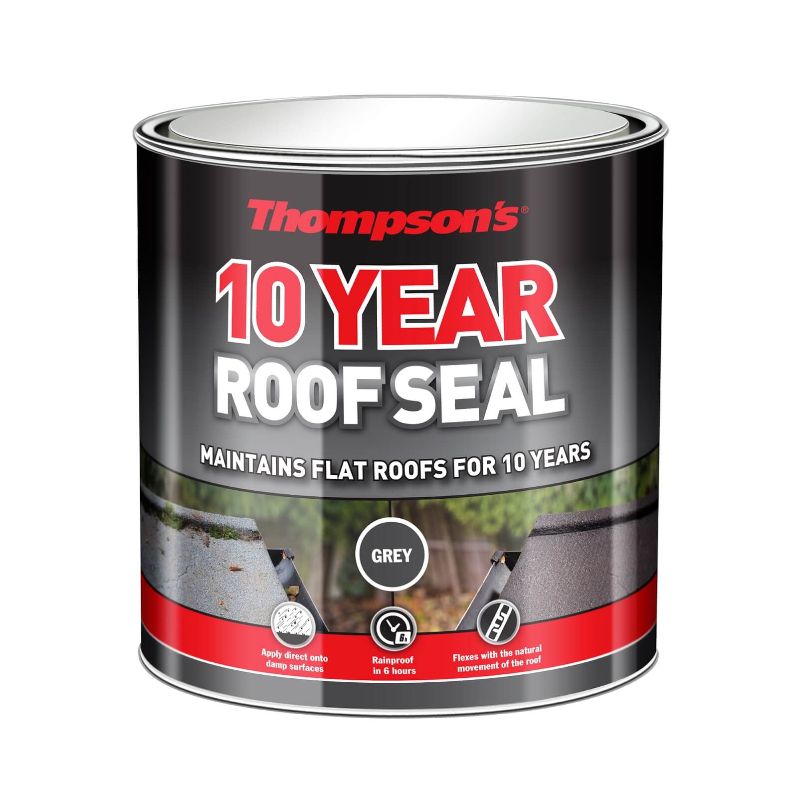 Thompson's 10 Year Roof Seal - Grey - 2.5L