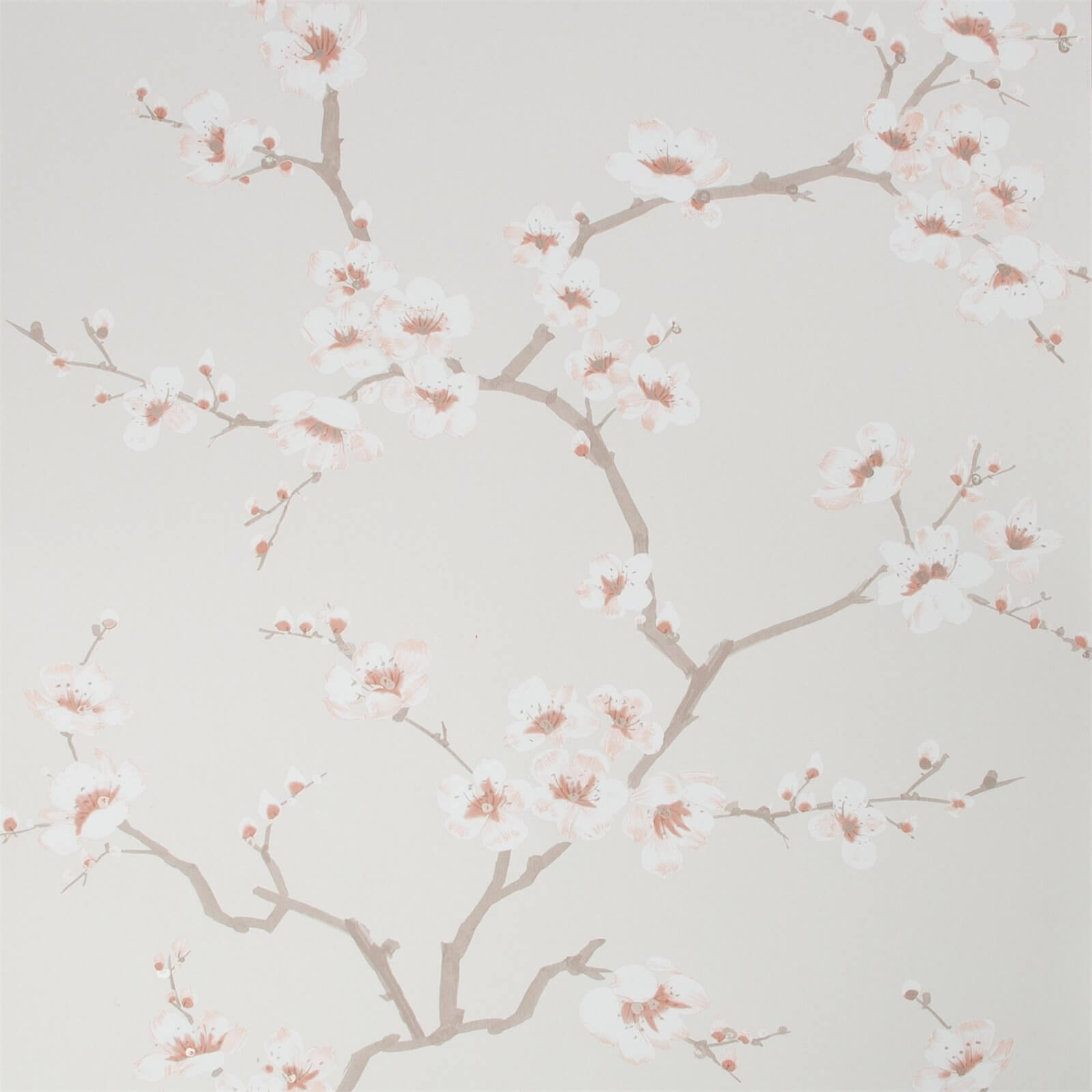 Fresco Apple Blossom Wallpaper - Burnt Orange