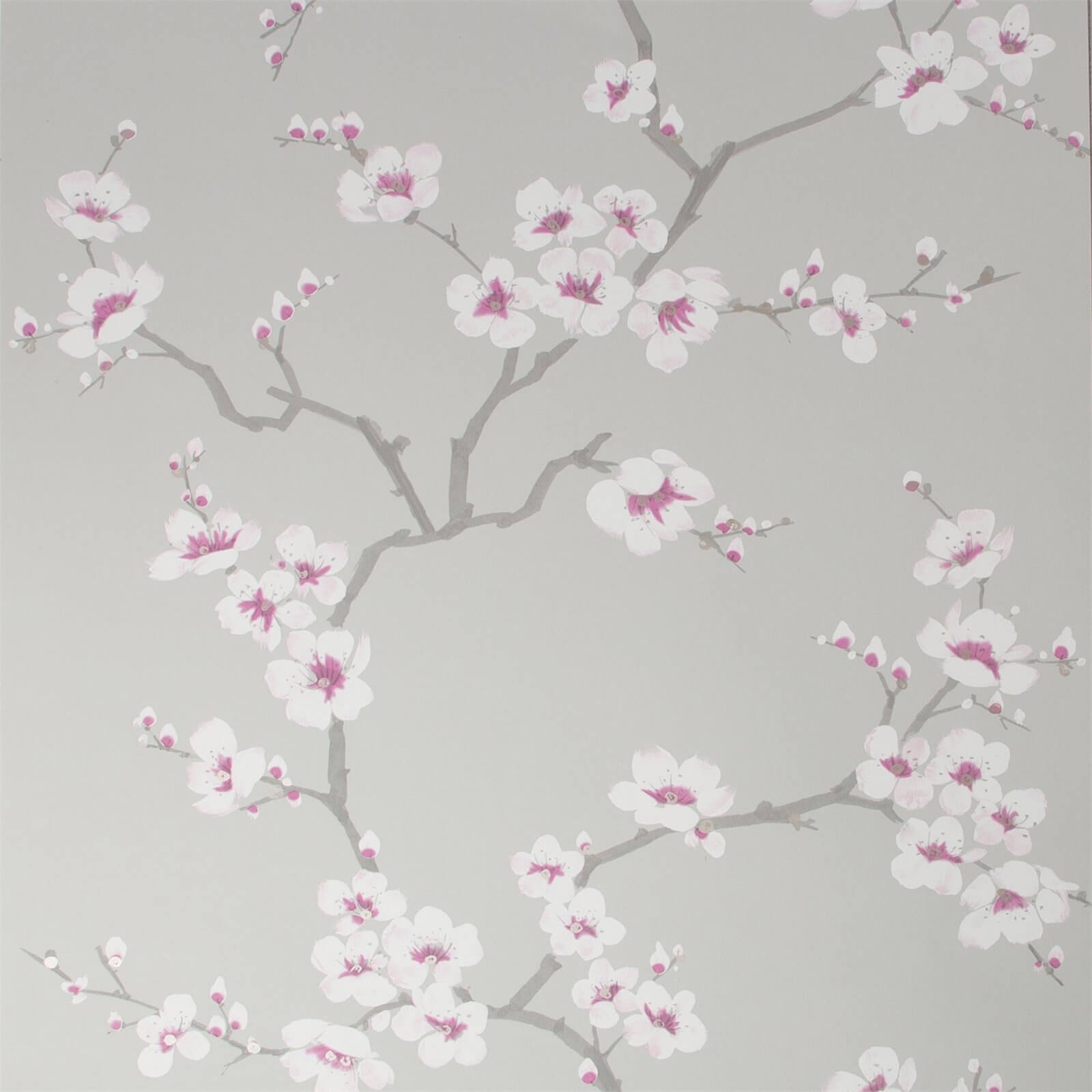 Fresco Apple Blossom Grey Wallpaper