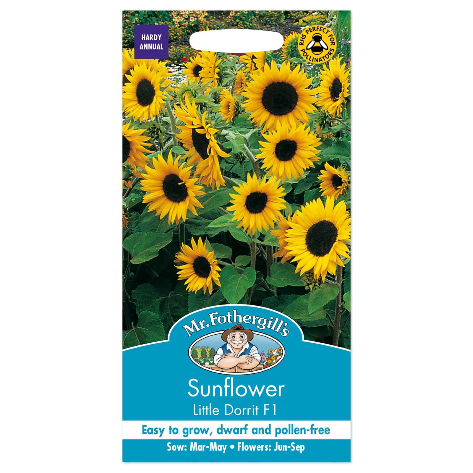 Mr. Fothergill's Sunflower Little Dorrit F1 Seeds