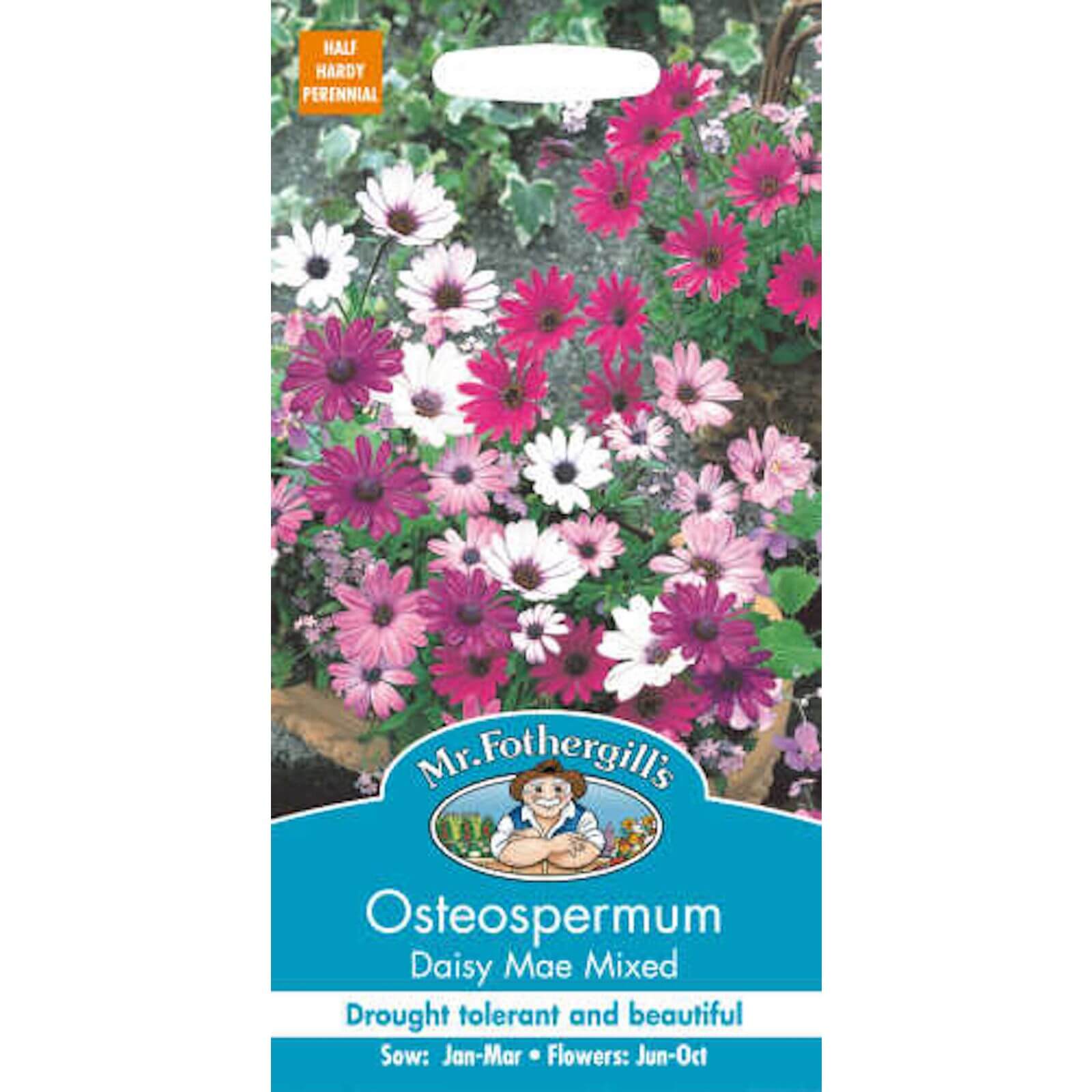 Mr. Fothergill's Osteospermum Daisy-Mae Mixed (Osteospermum Ecklonis) Seeds