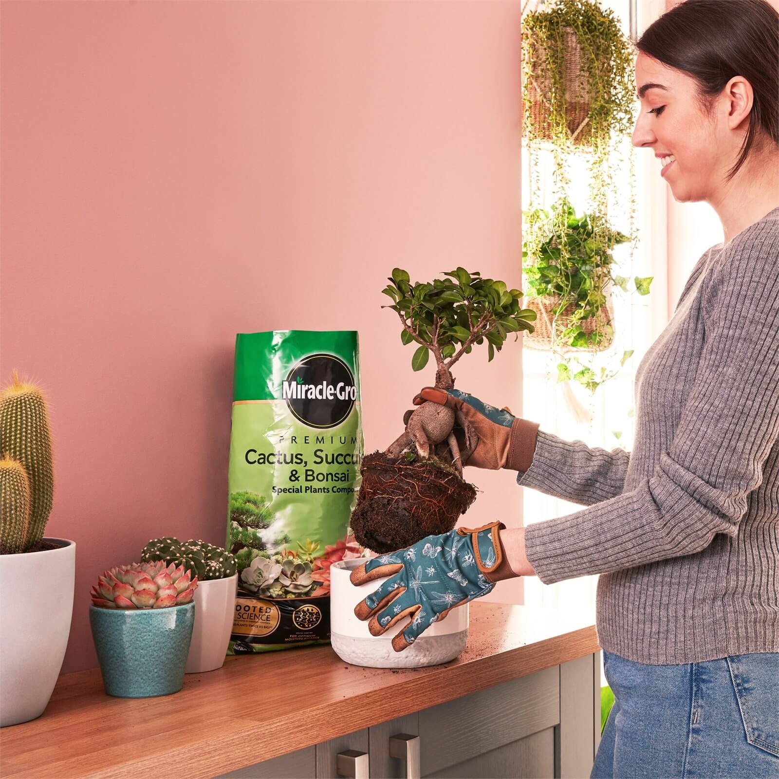 Miracle-Gro Premium Cactus, Succulent & Bonsai Compost - 6L