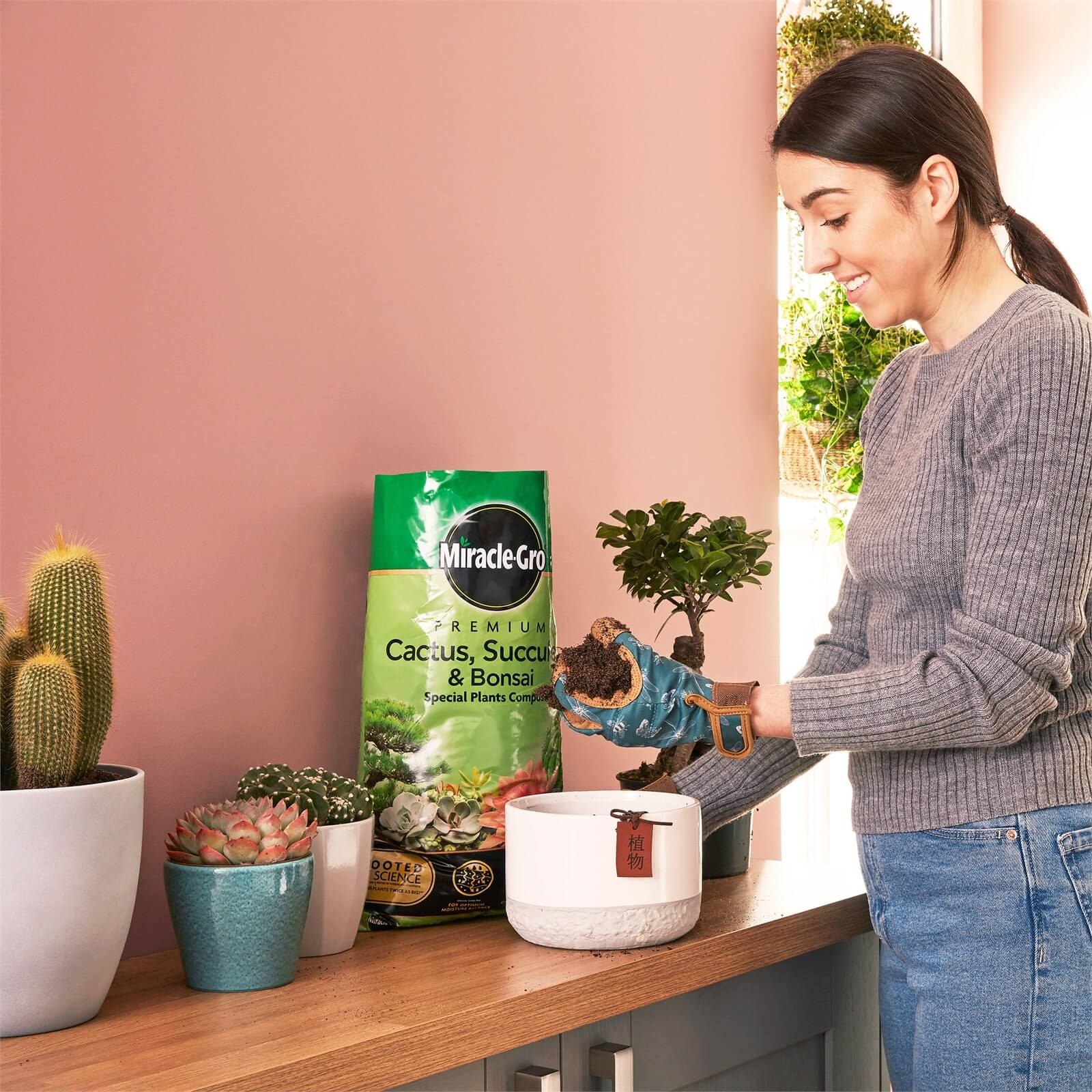 Miracle-Gro Premium Cactus, Succulent & Bonsai Compost - 6L