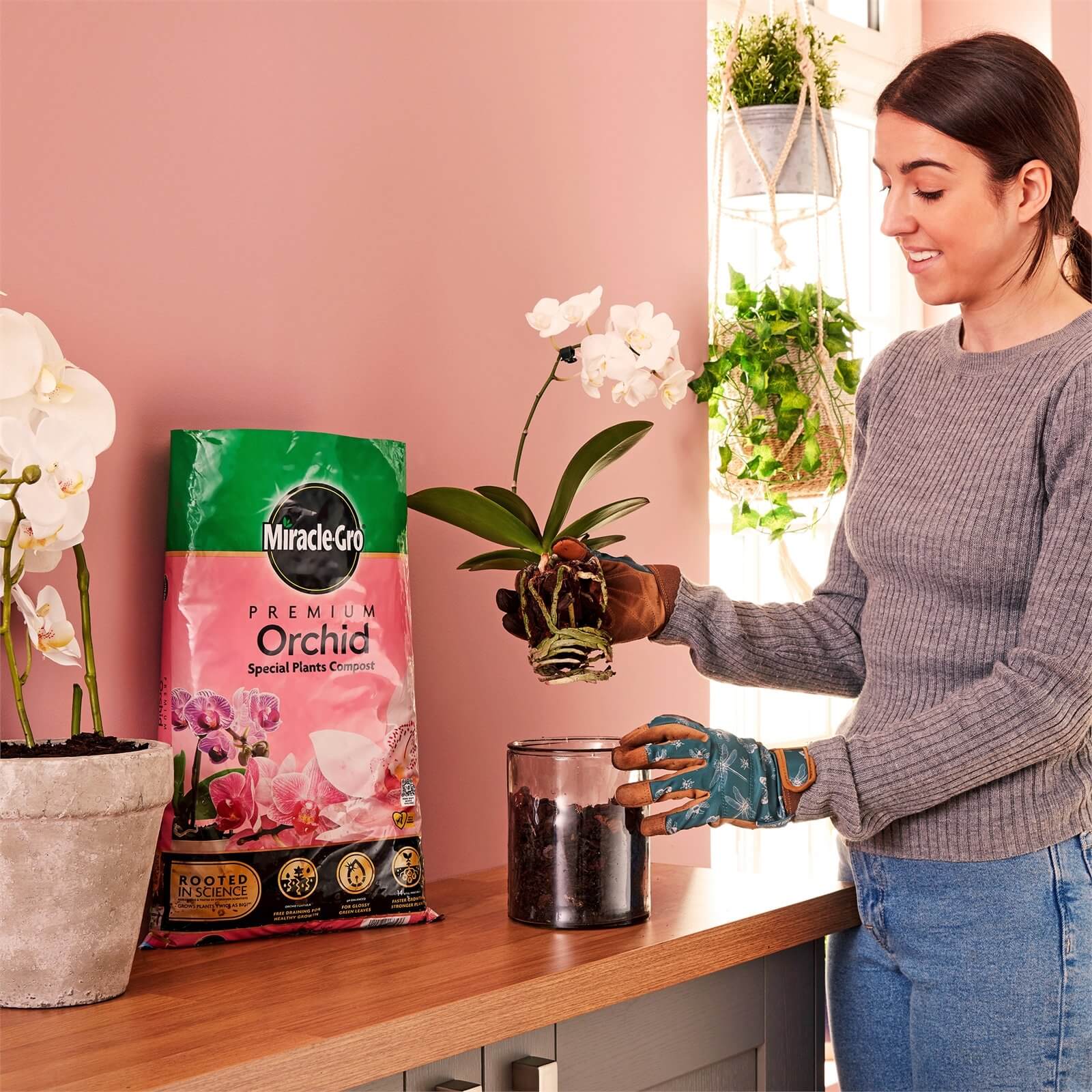 Miracle-Gro Premium Orchid Compost - 6L