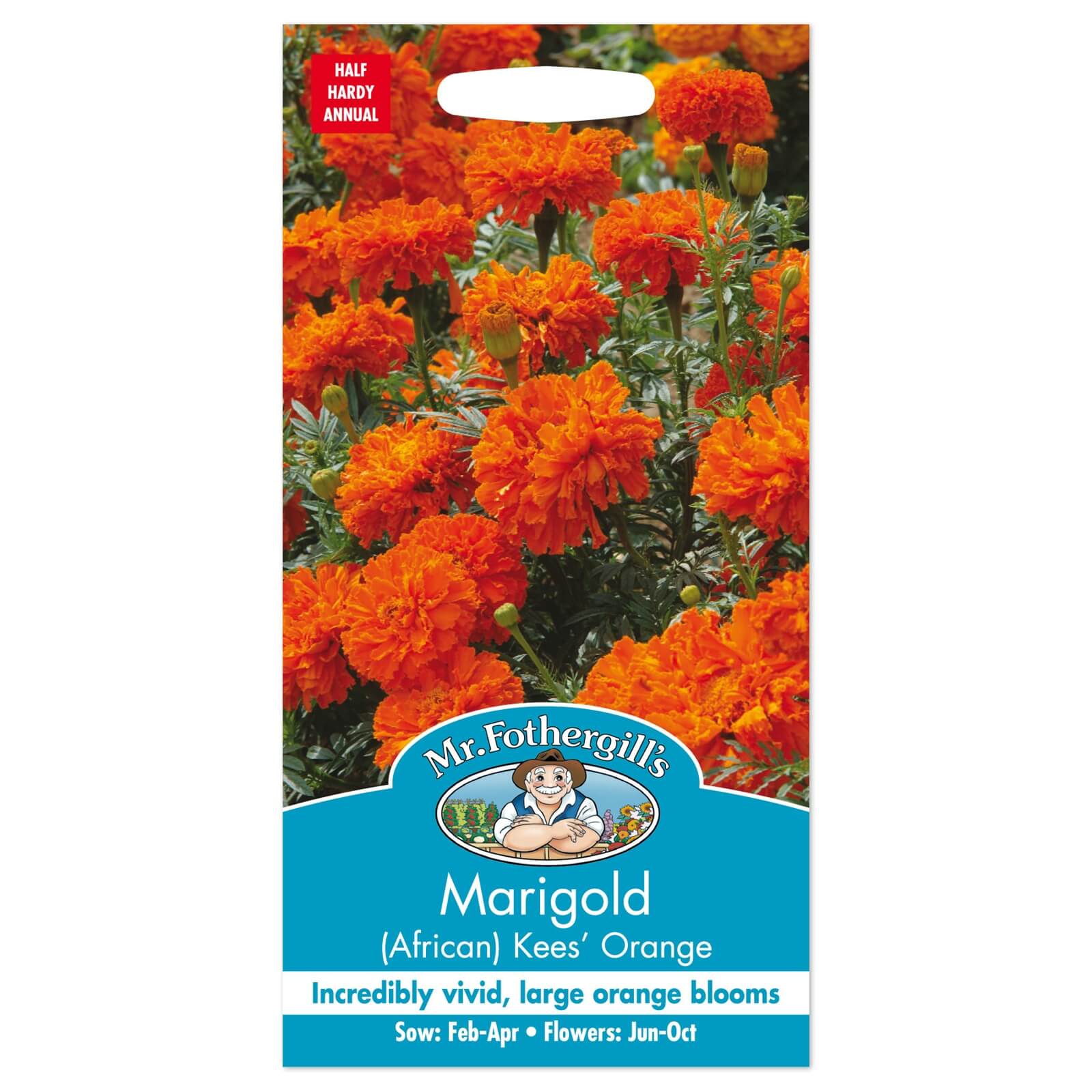 Mr. Fothergill's African Marigold Kees Orange Seeds