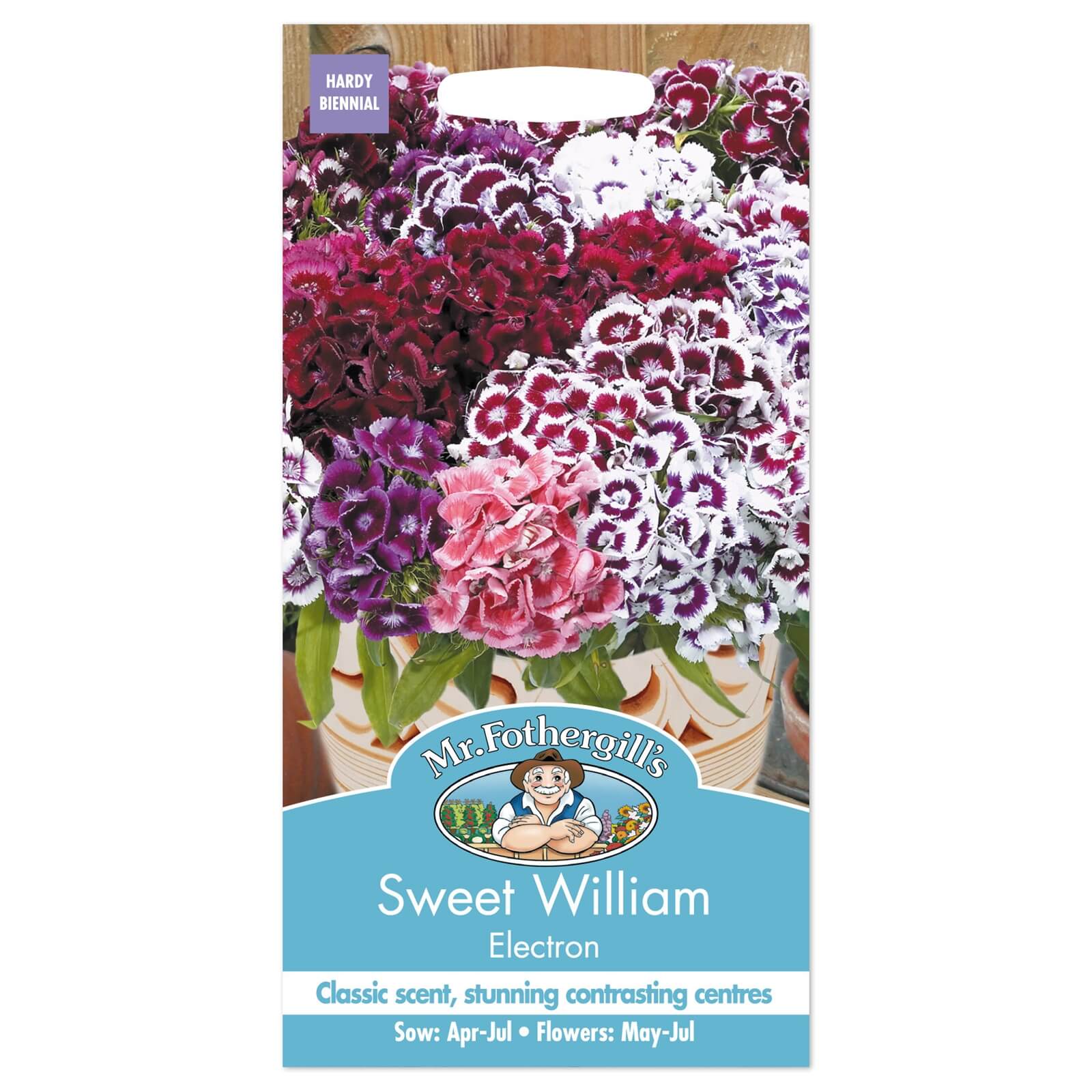 Mr. Fothergill's Sweet William Electron Seeds
