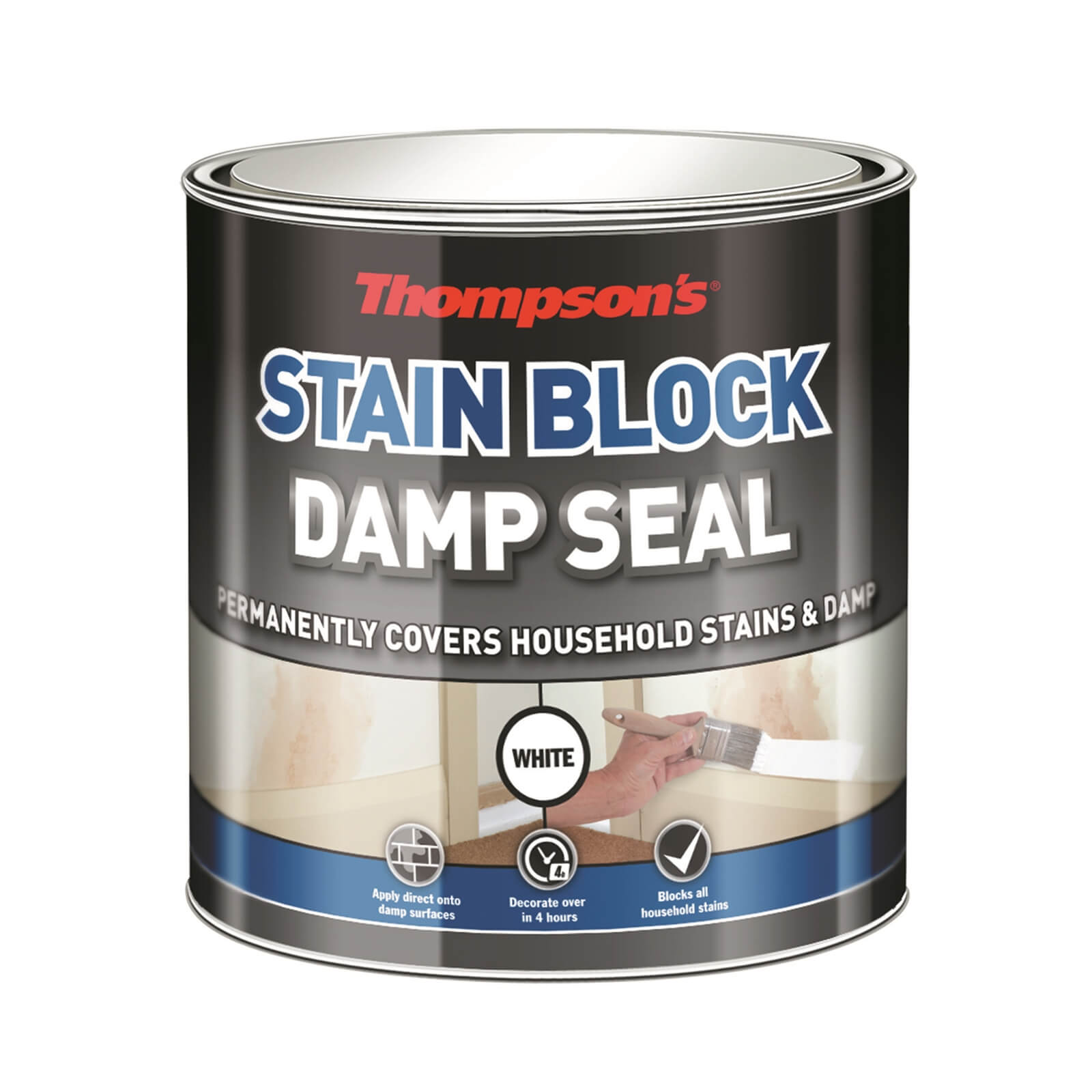 Thompsons Damp Seal - 250ml