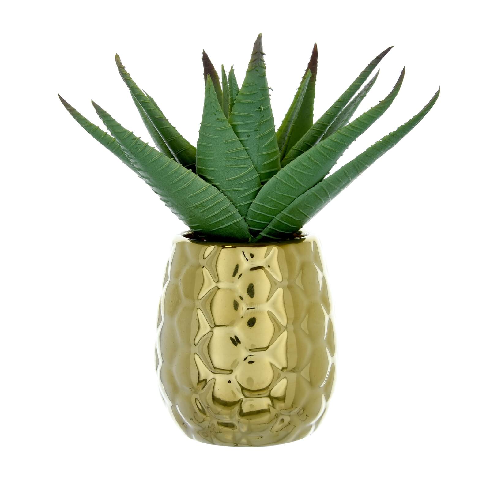 Spikey Succulent in Gold Pineapple Pot