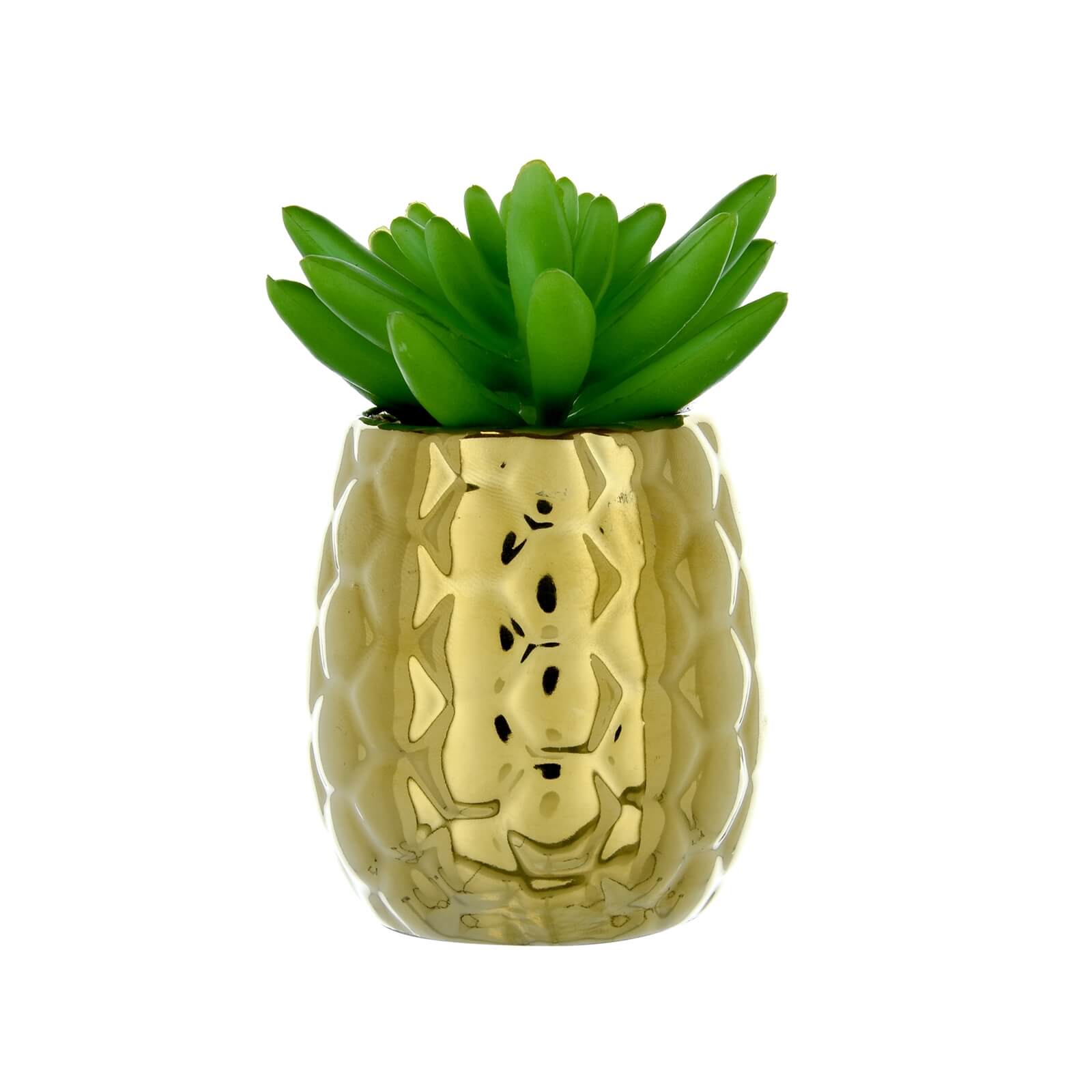 Succulent in Gold Pineapple Pot