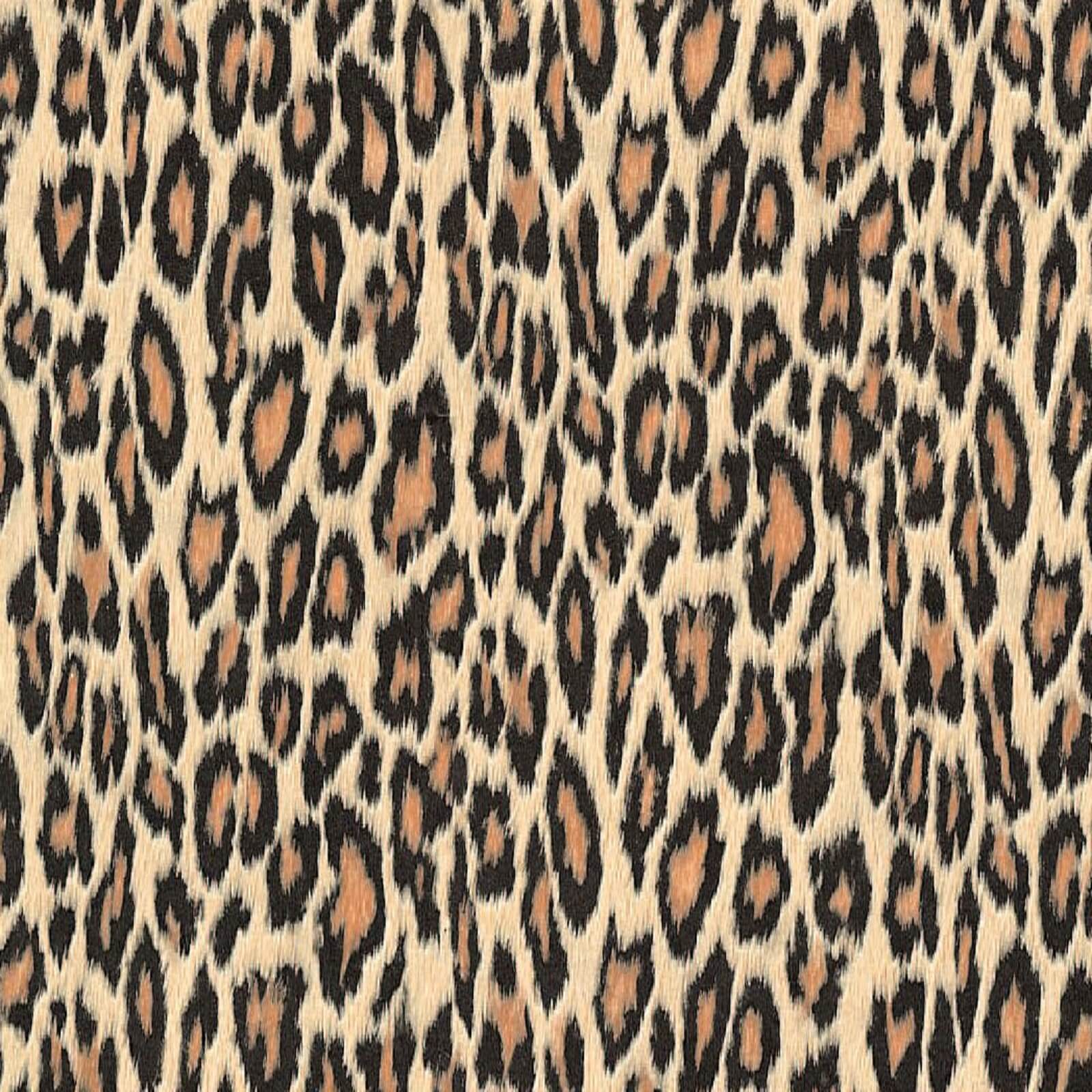 Fablon Sticky Back Plastic - Leopard