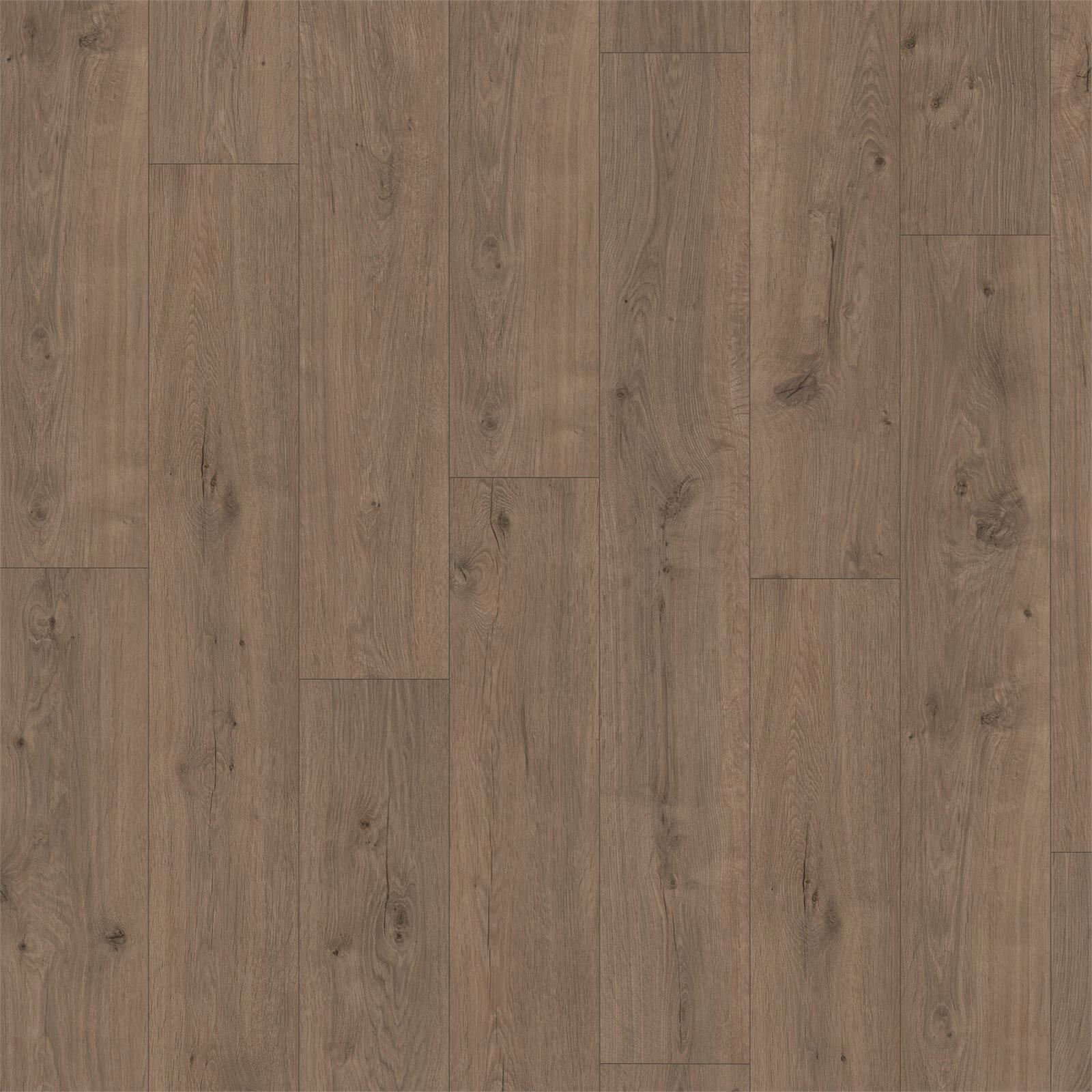 EGGER HOME Murom Oak 10mm Laminate Flooring