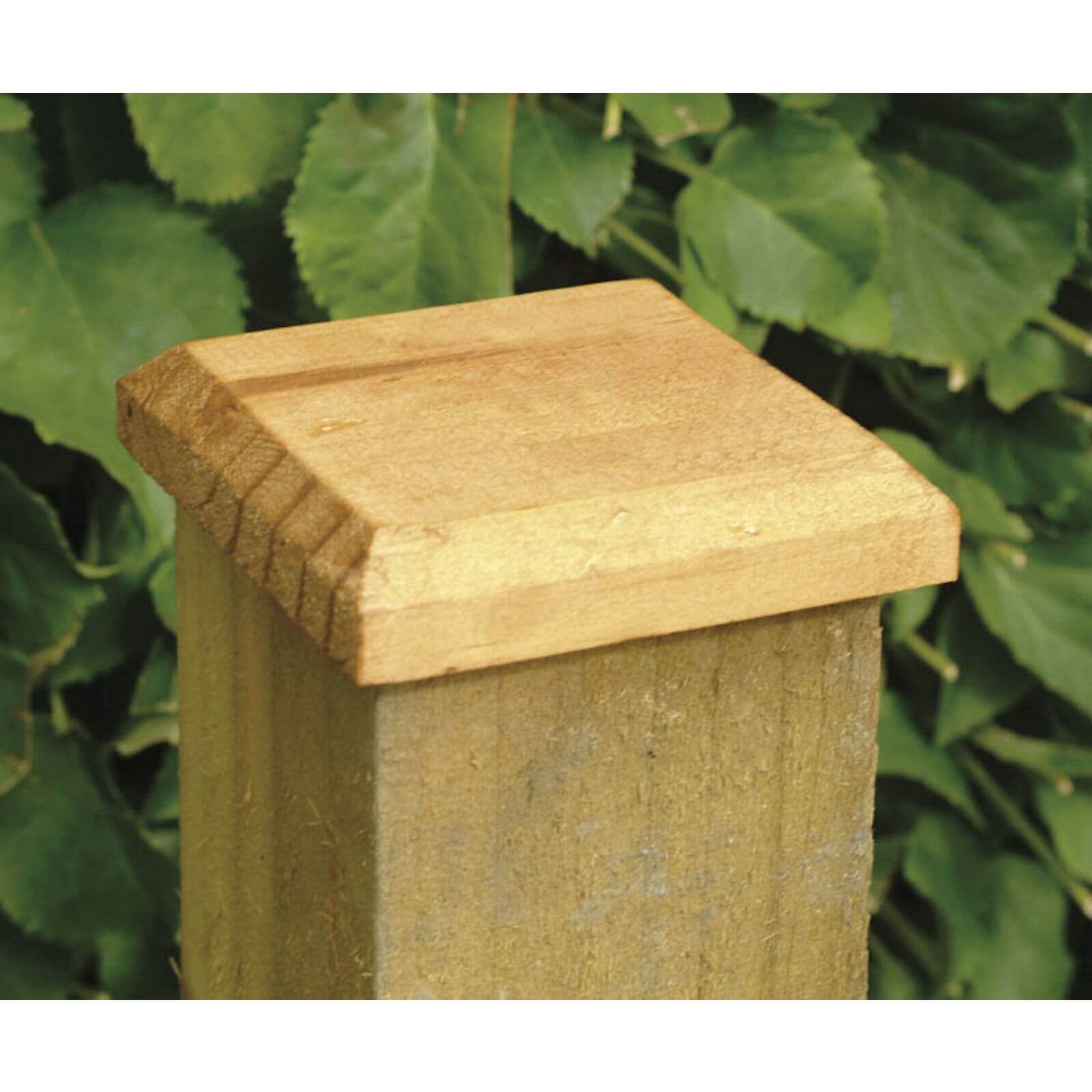 Forest Timber Fence Post Cap