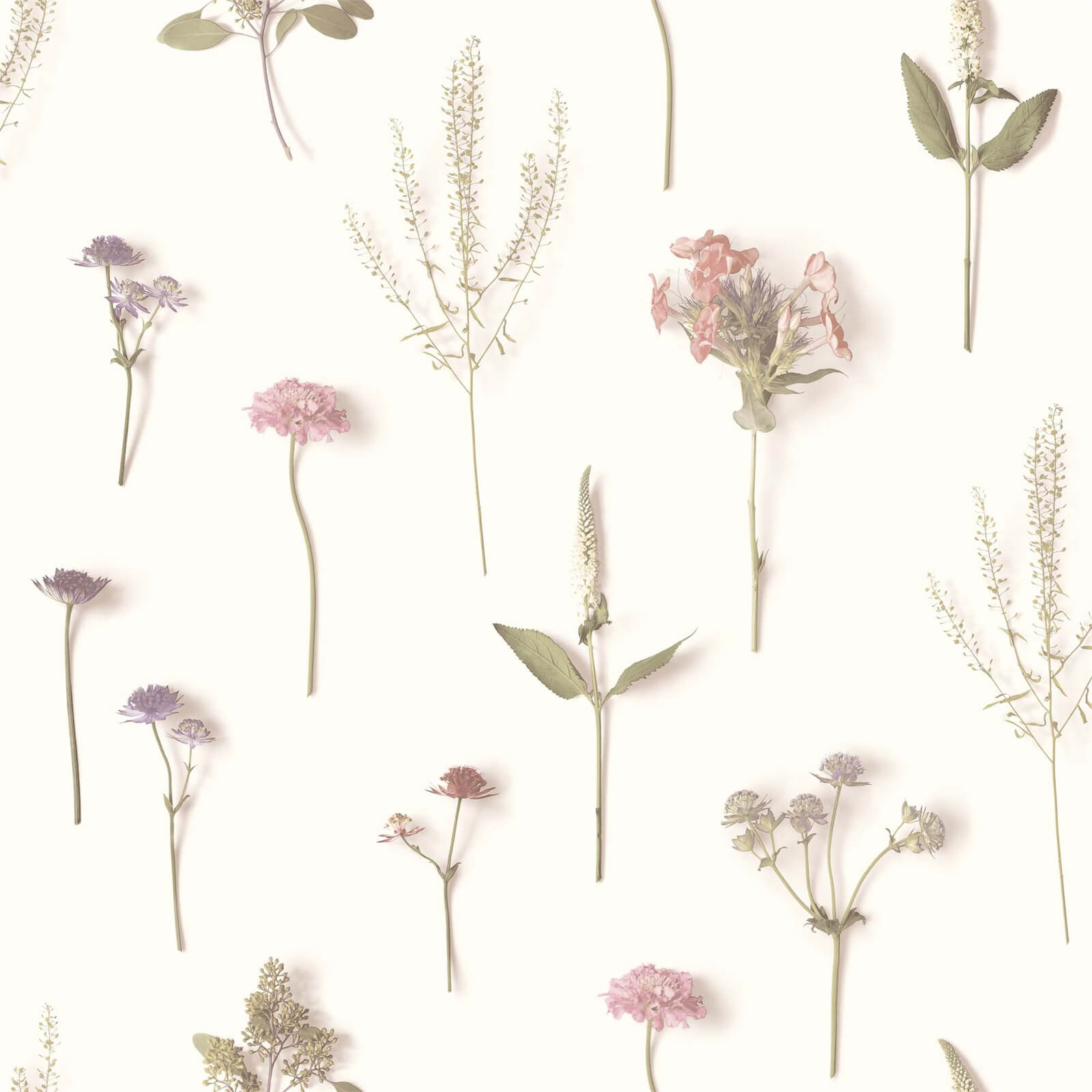 Grandeco Floral Stem Pink Wallpaper