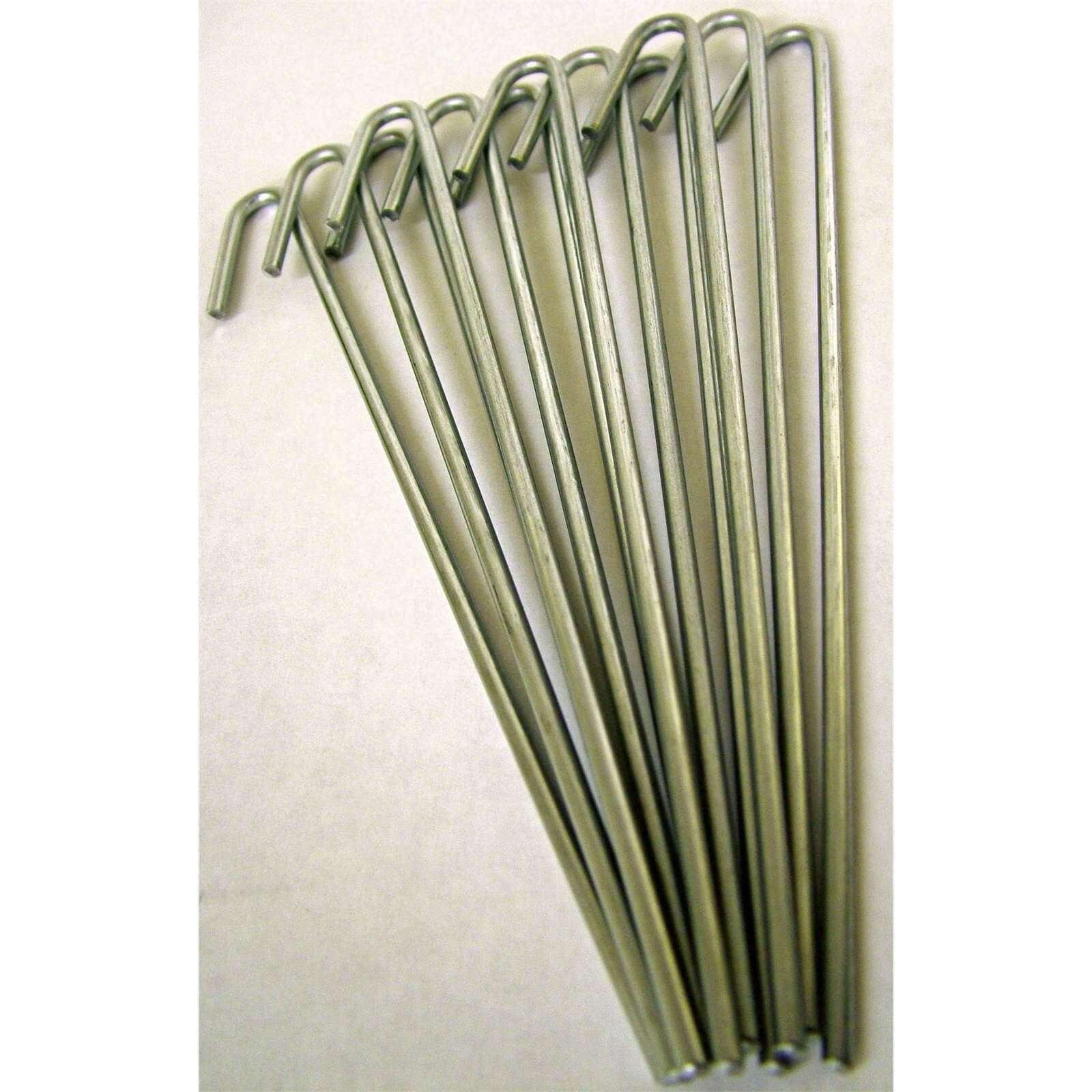 Bell Cloche Ground Pegs - 12 Pack